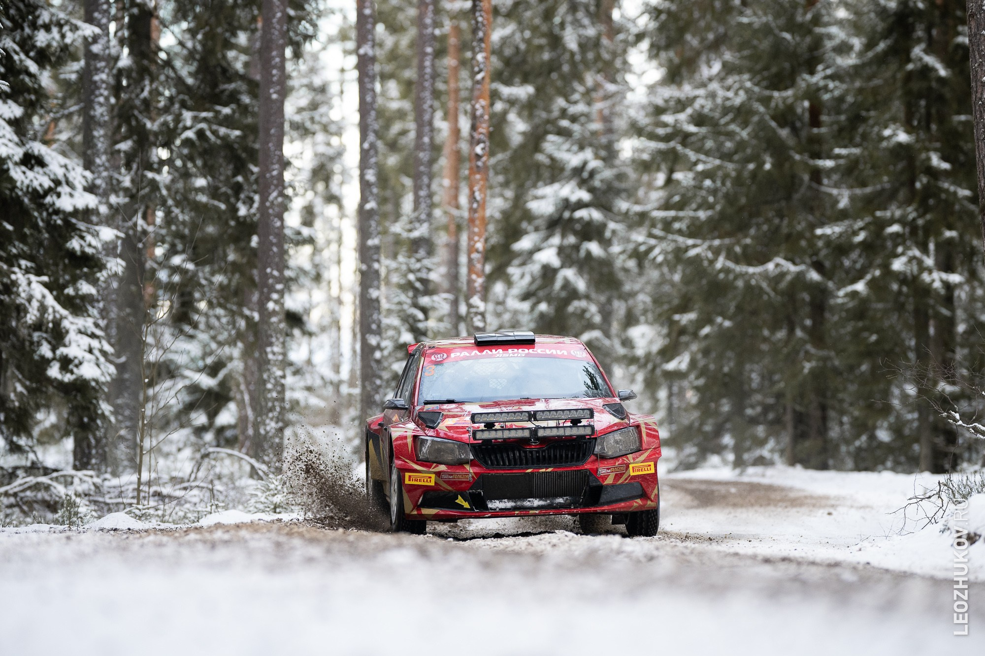 Rally Vyborg 2024. Sports photographer Leonid Zhukov