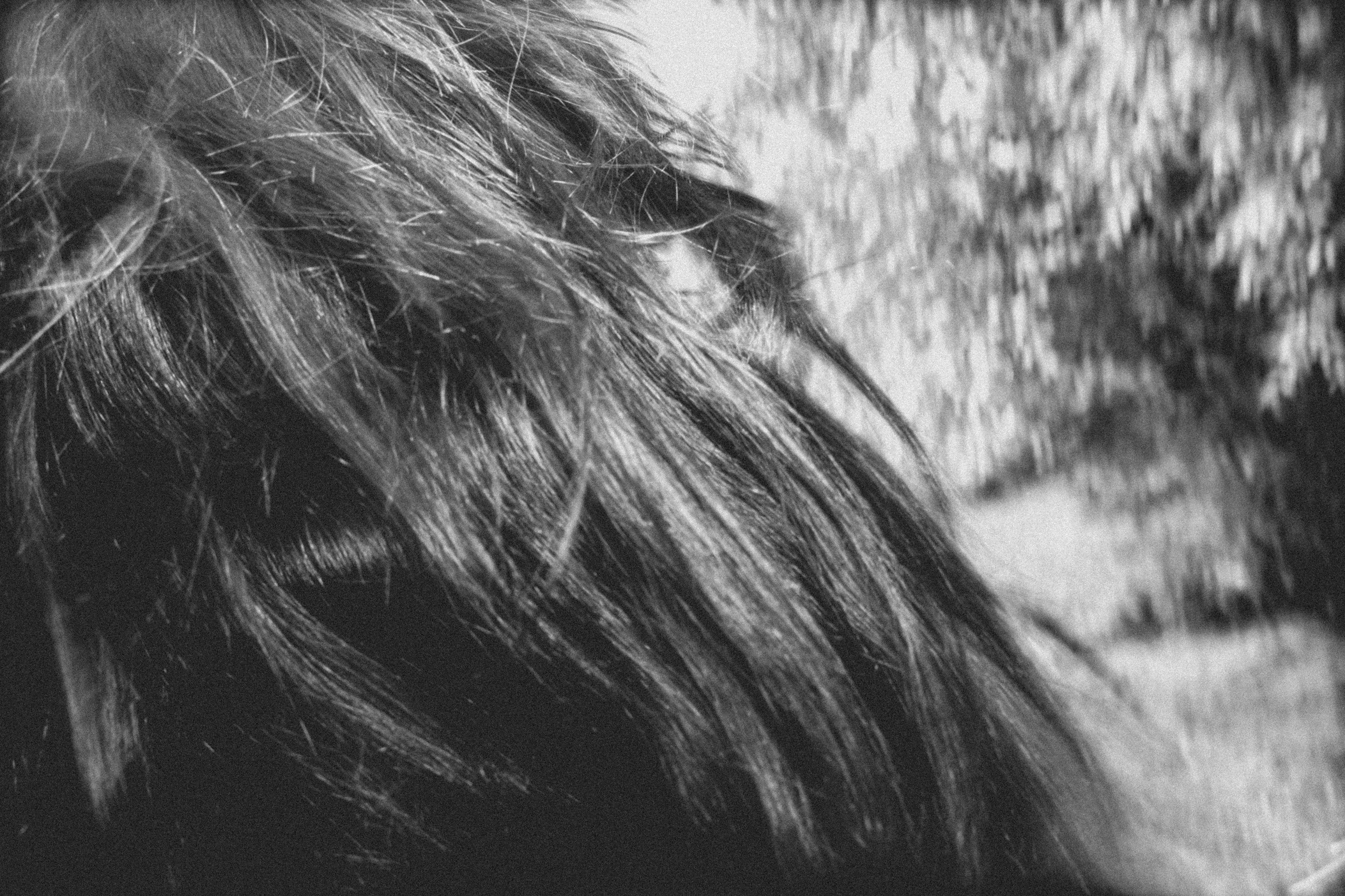 Лёгкость бытия. Арт фотограф и визуальный художник Марина Черепович