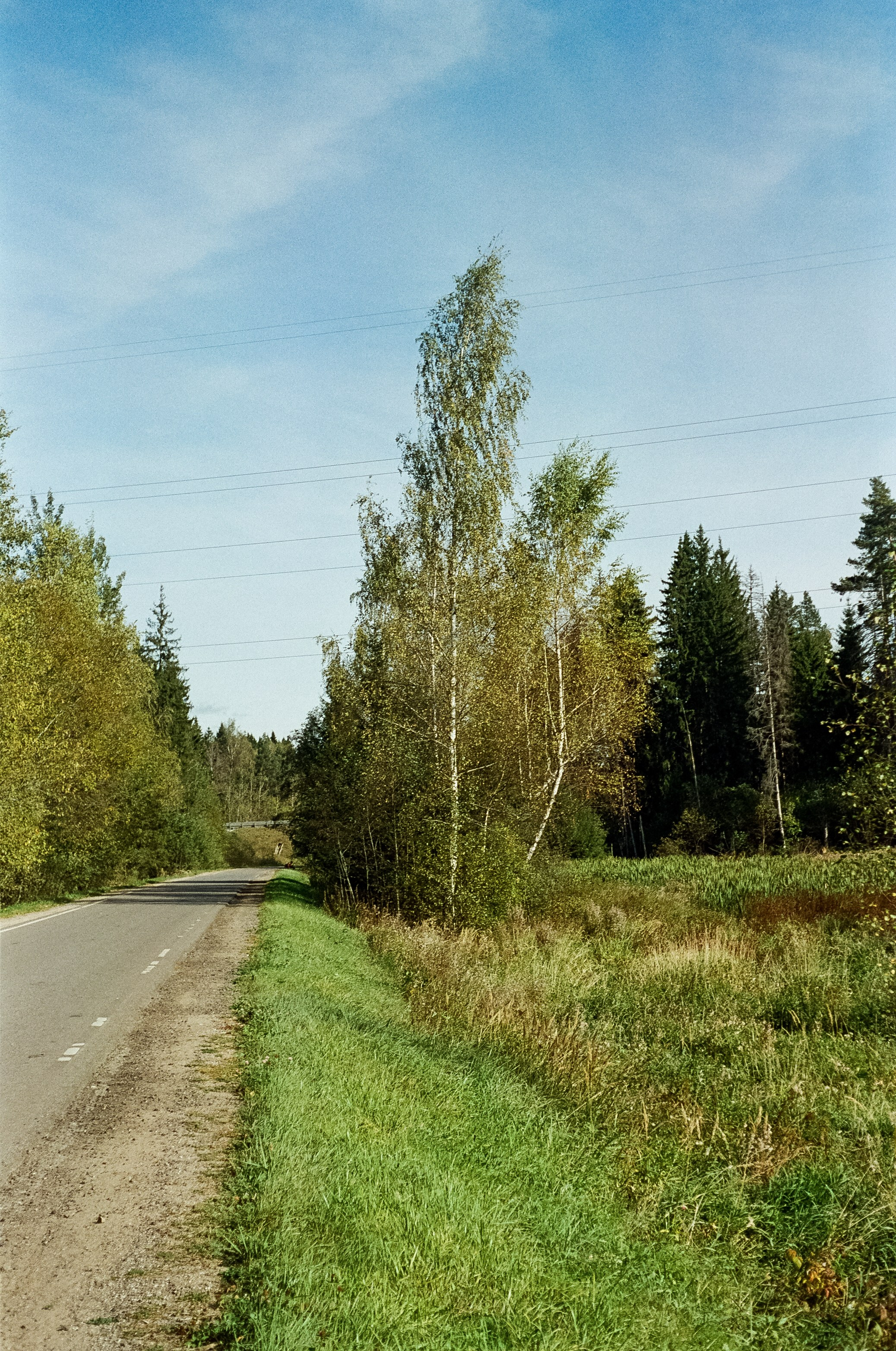 Voigtlander Vitessa / Color-Skopar 50 mm f/3.5 / Kodak Gold 100 (просрочка)