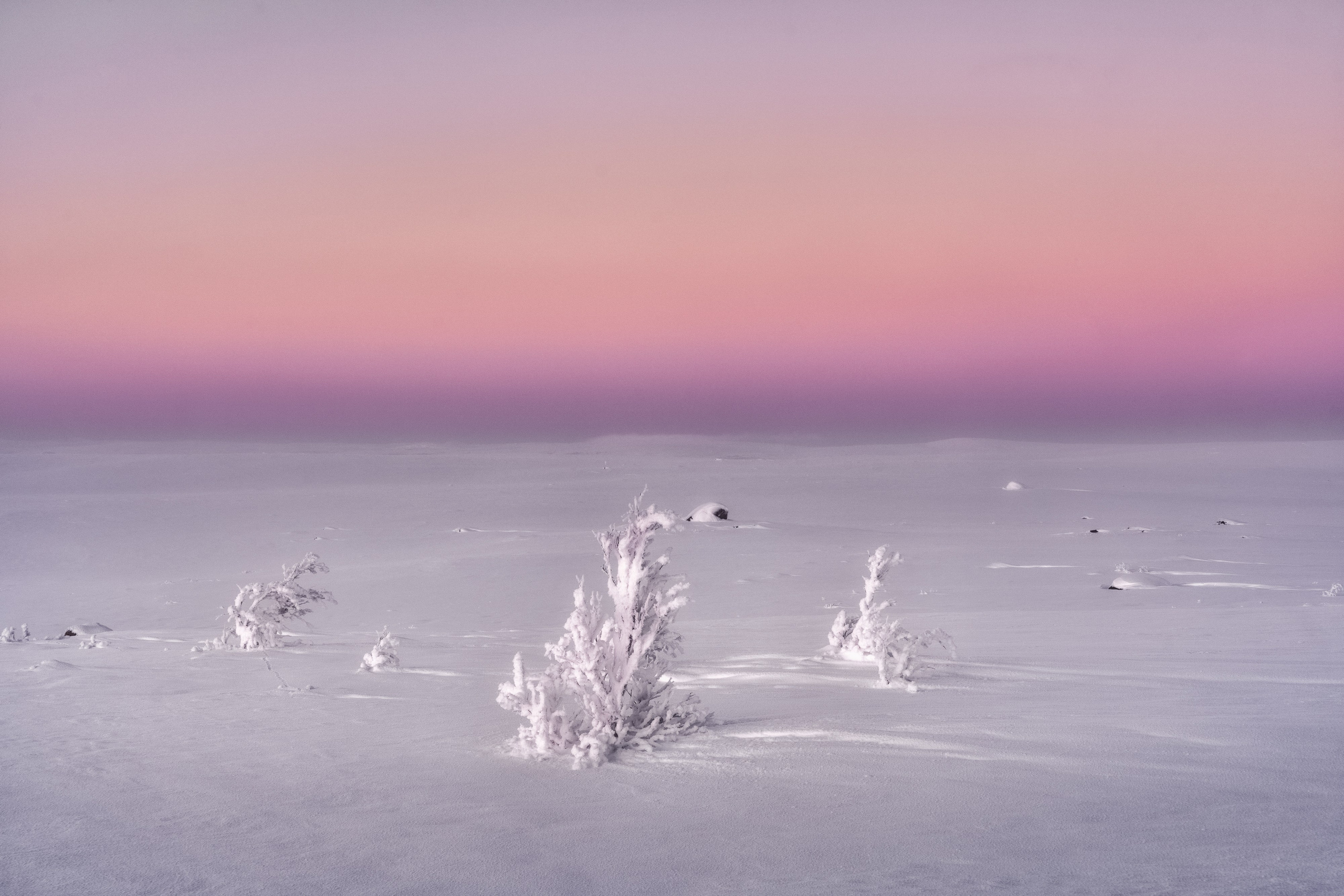 Предзимье на Кольском