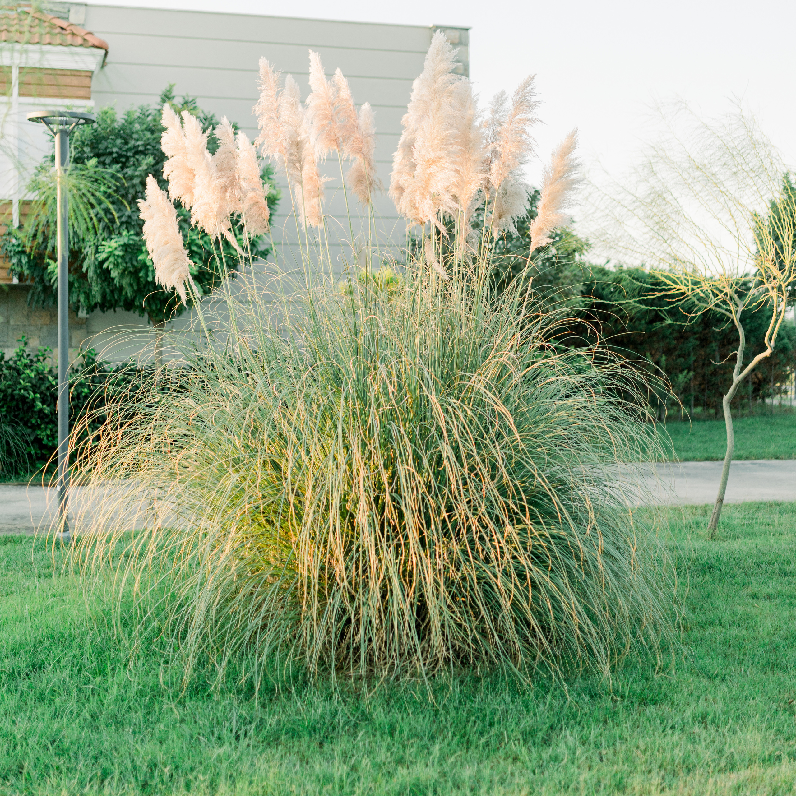 Про один рассвет. Лена Крутова. Фотограф в Москве