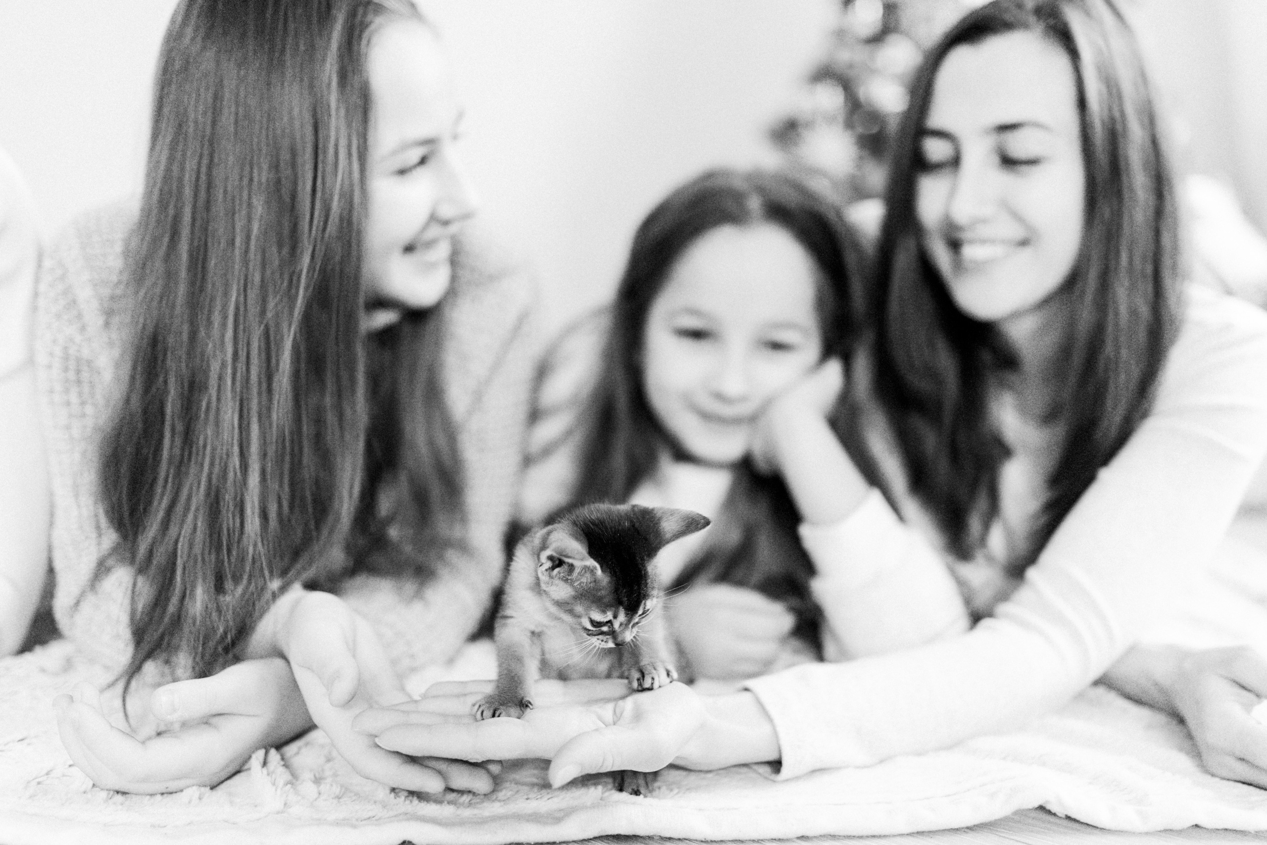 Про 4 лапы, детское счастье и кошачий ньюборн). Лена Крутова. Фотограф в Москве