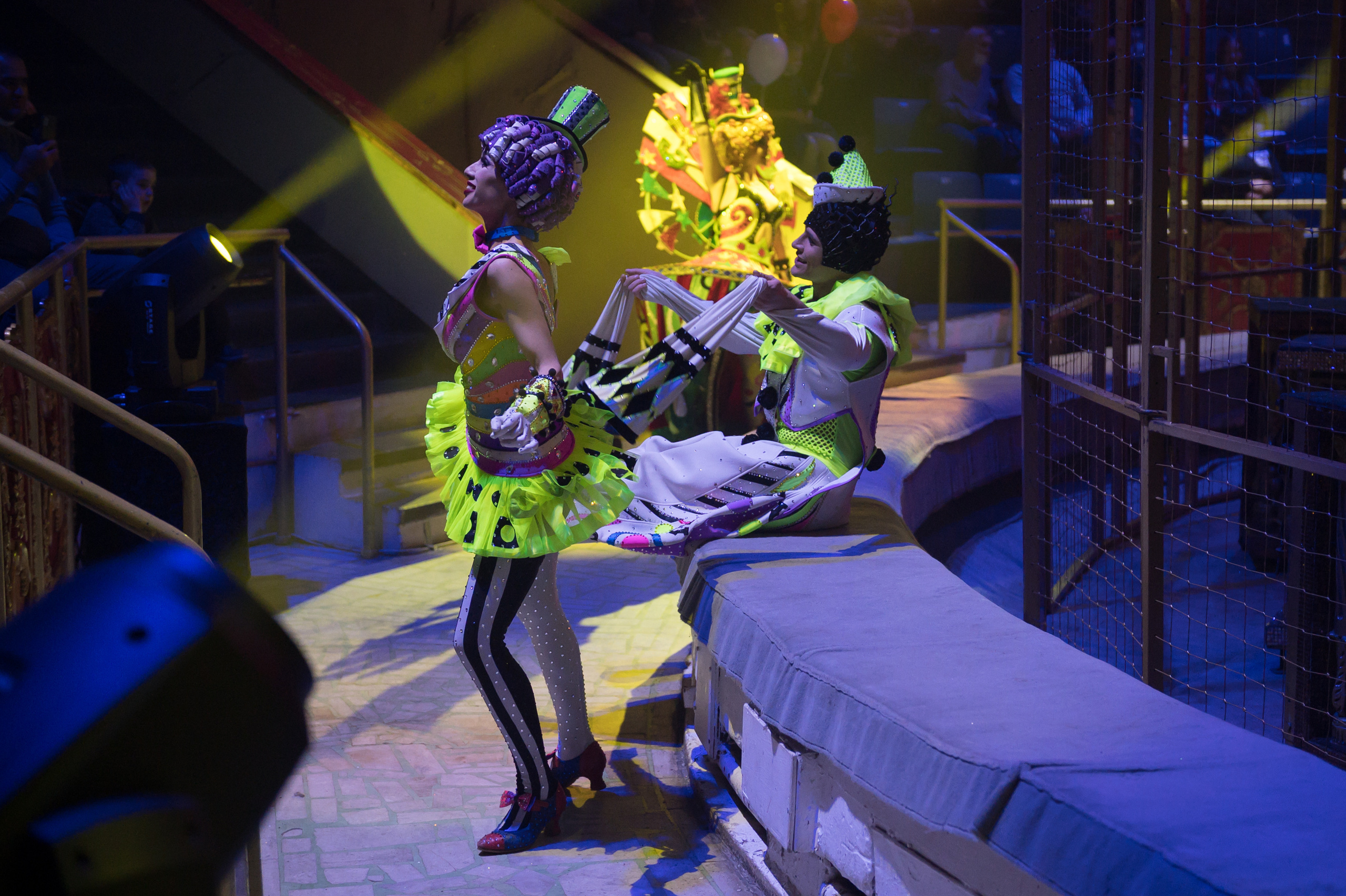 Фотосъёмка, репортаж премьеры Королевского Цирка Гии Эрадзе. Конный и фотограф с животными в Твери Топталова Люся