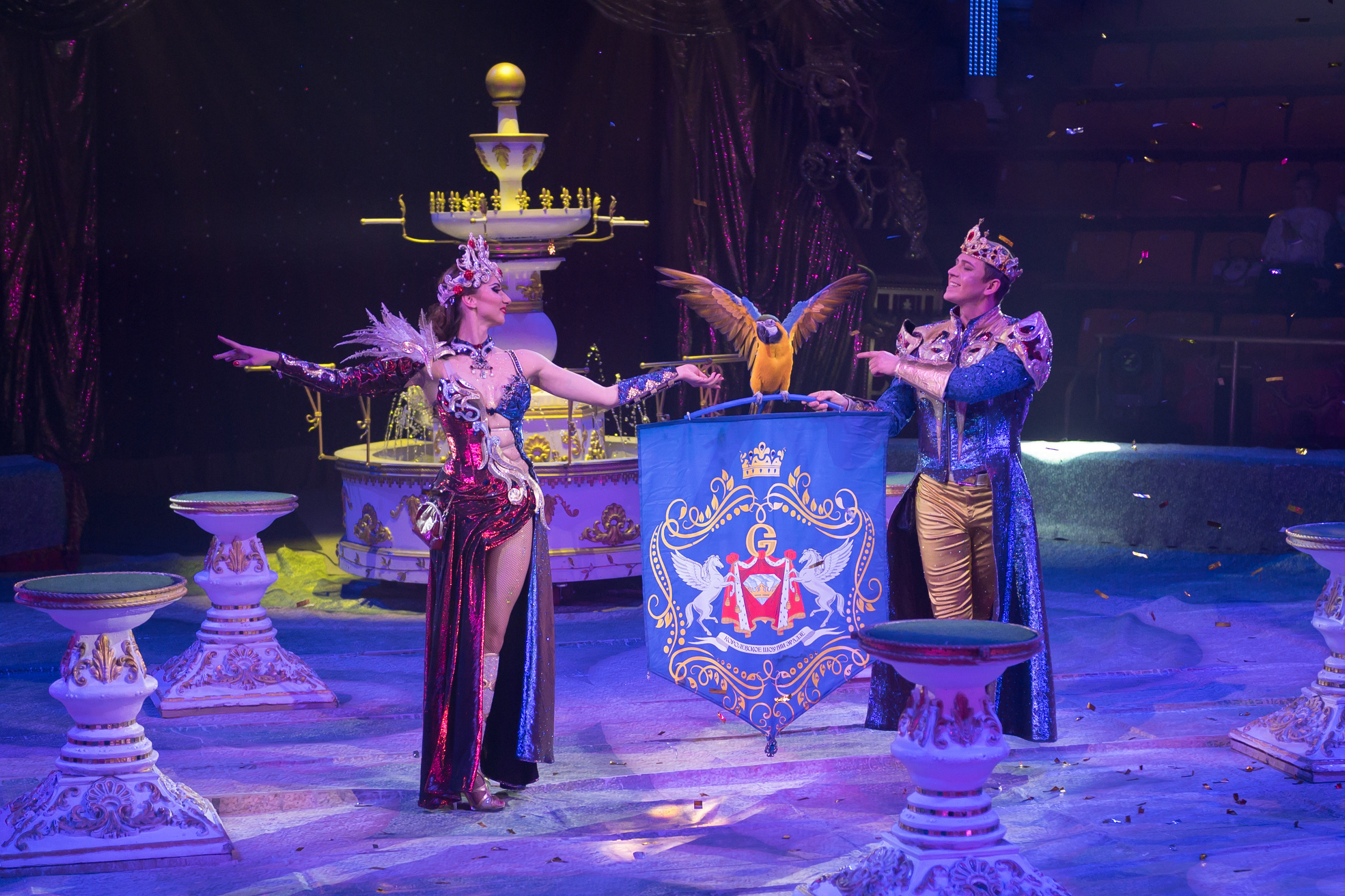 Фотосъёмка, репортаж премьеры Королевского Цирка Гии Эрадзе. Конный и фотограф с животными в Твери Топталова Люся