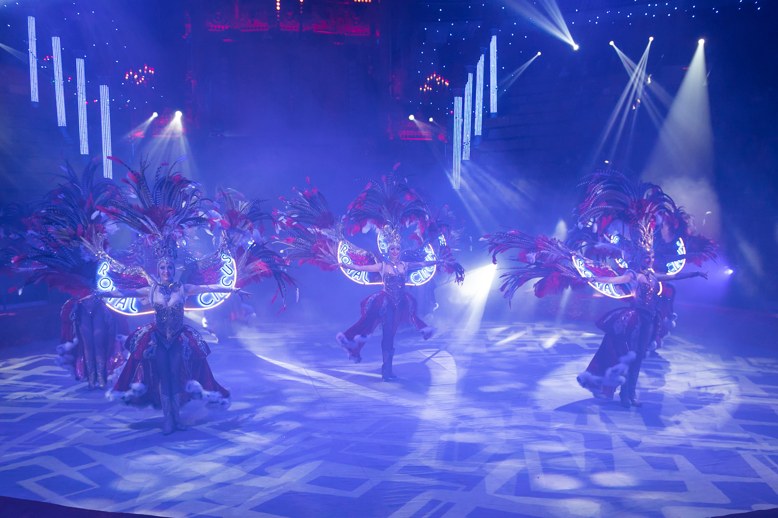 Фотосъёмка, репортаж премьеры Королевского Цирка Гии Эрадзе. Конный и фотограф с животными в Твери Топталова Люся