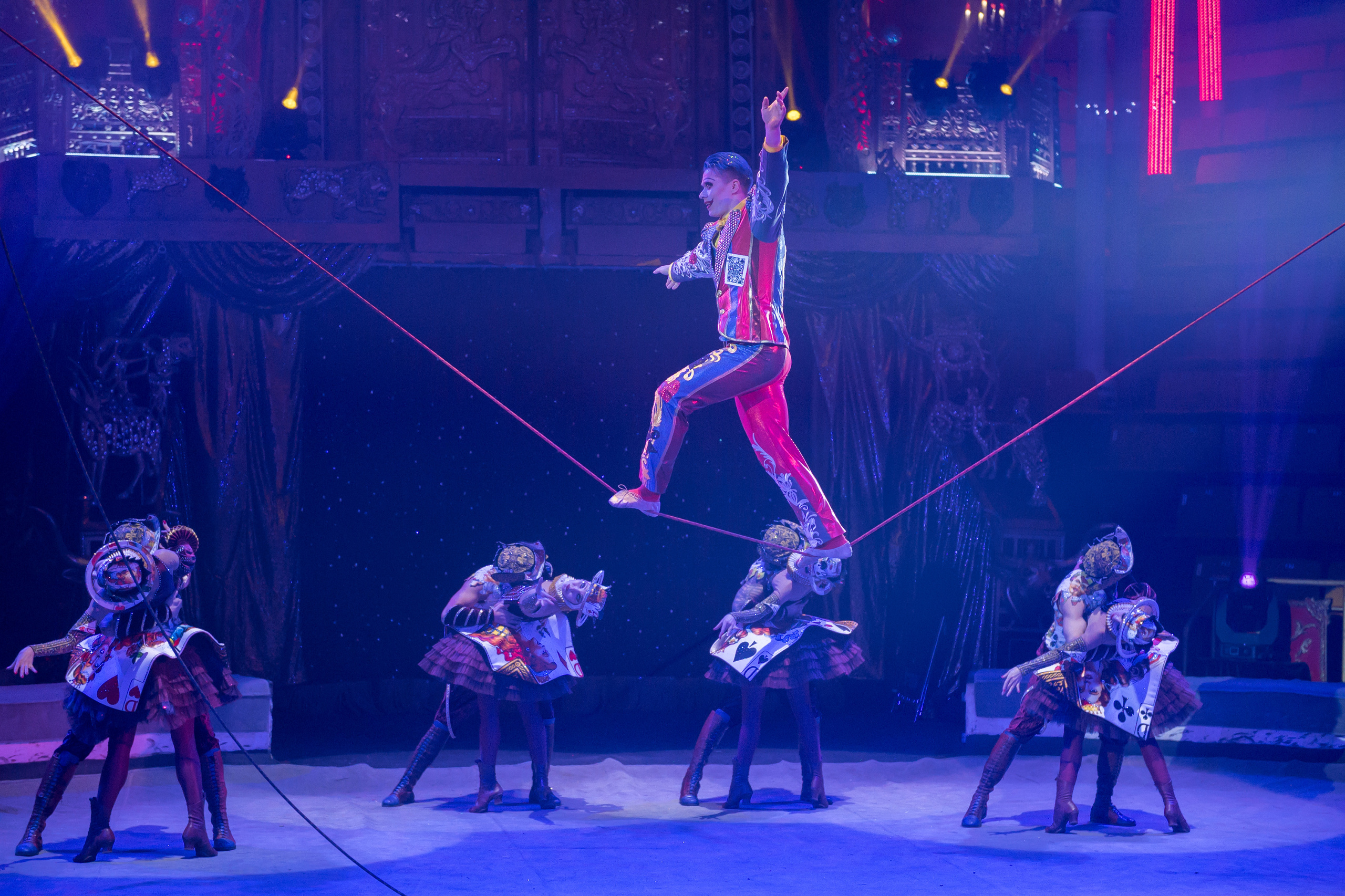 Фотосъёмка, репортаж премьеры Королевского Цирка Гии Эрадзе. Конный и фотограф с животными в Твери Топталова Люся