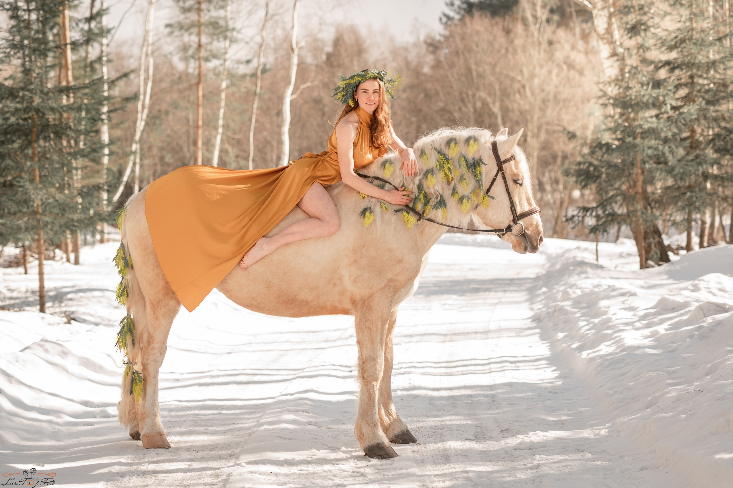 Весна в Арго. Конный и фотограф с животными в Твери Топталова Люся
