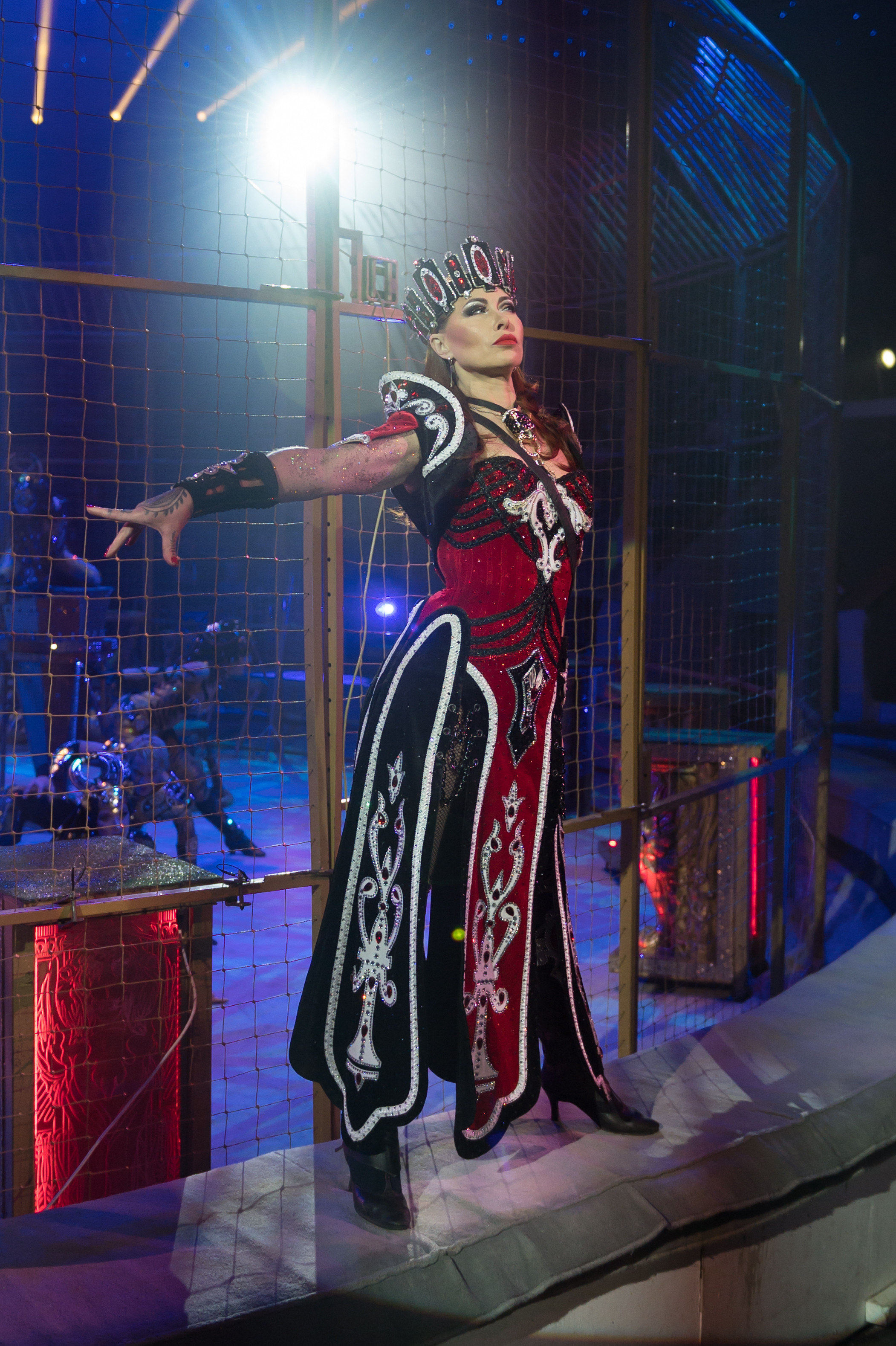 Фотосъёмка, репортаж премьеры Королевского Цирка Гии Эрадзе. Конный и фотограф с животными в Твери Топталова Люся