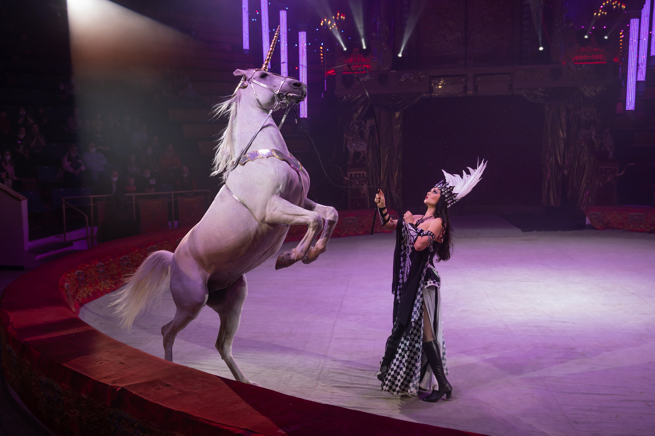 Фотосъёмка, репортаж премьеры Королевского Цирка Гии Эрадзе. Конный и фотограф с животными в Твери Топталова Люся