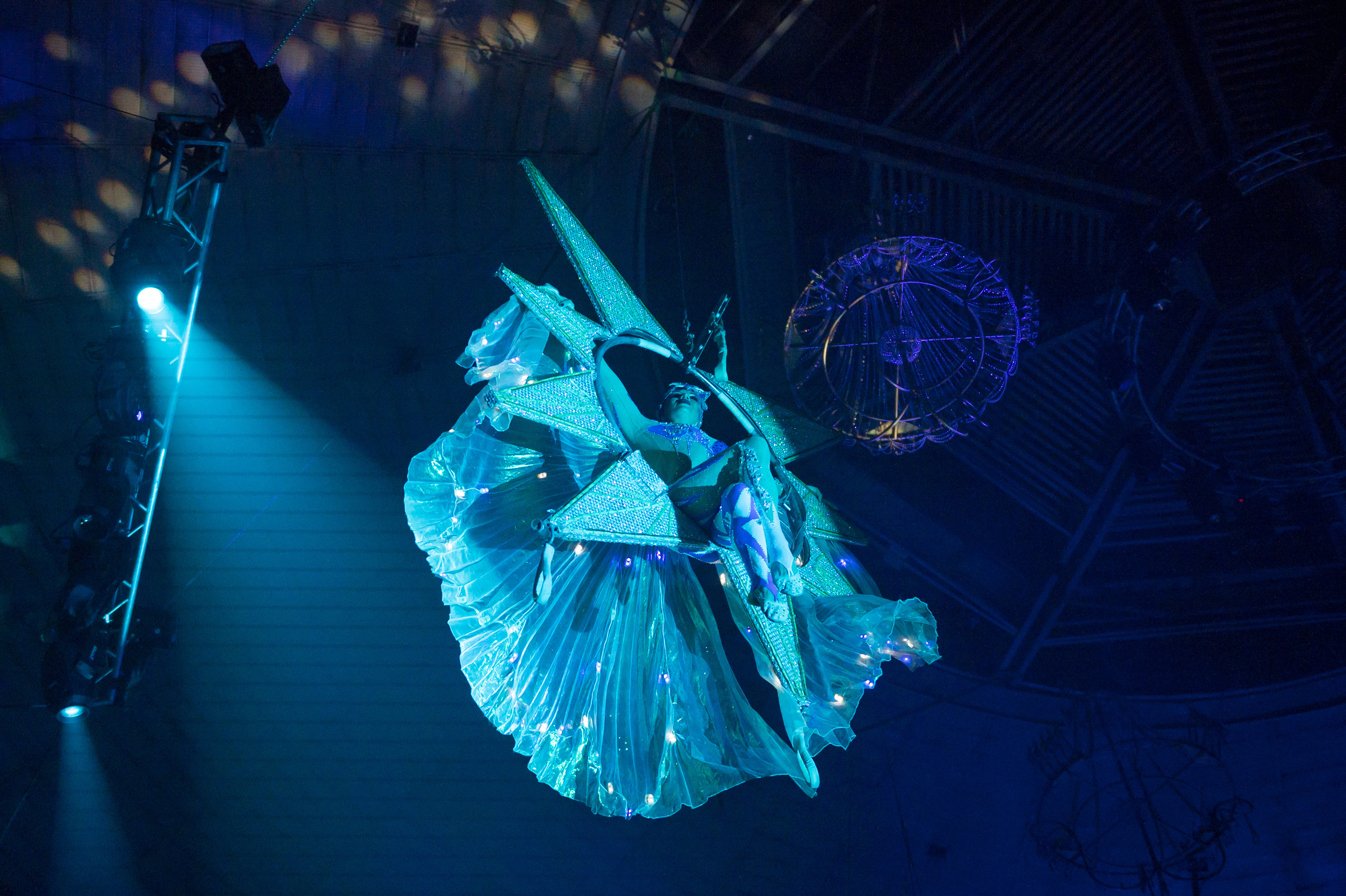 Фотосъёмка, репортаж премьеры Королевского Цирка Гии Эрадзе. Конный и фотограф с животными в Твери Топталова Люся