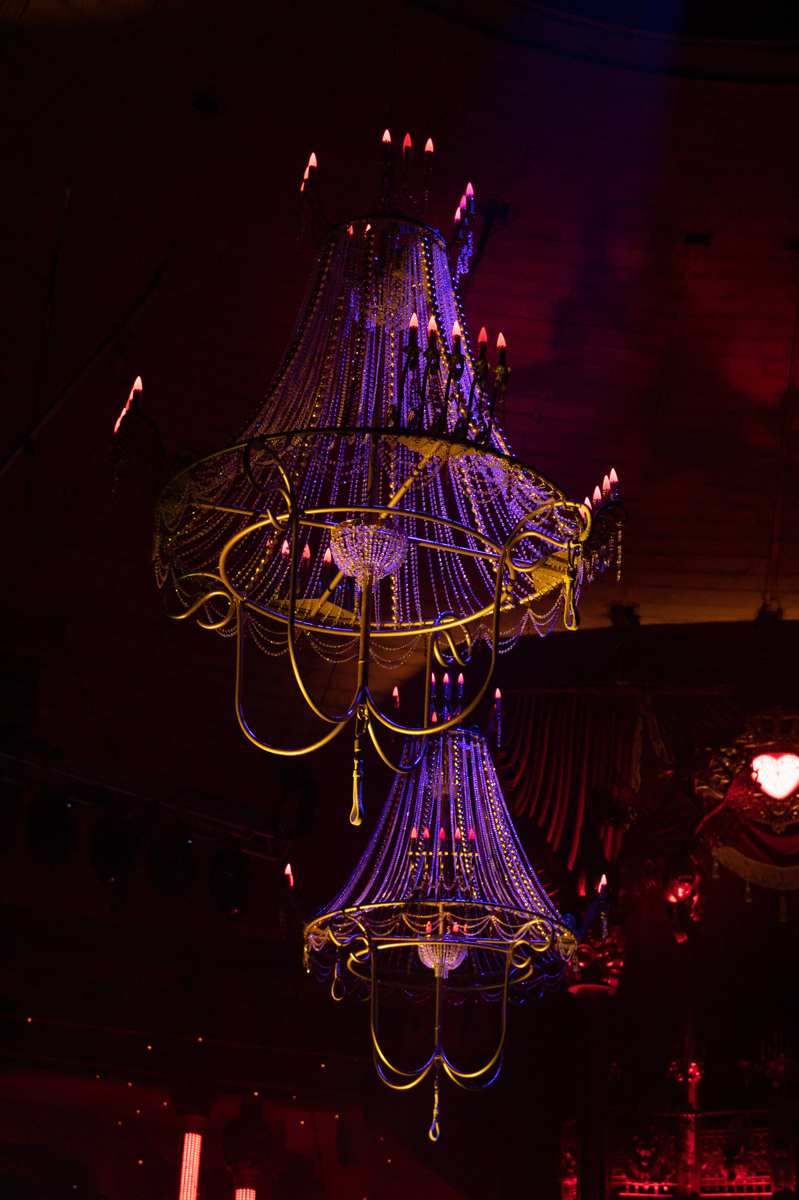 Фотосъёмка, репортаж премьеры Королевского Цирка Гии Эрадзе. Конный и фотограф с животными в Твери Топталова Люся