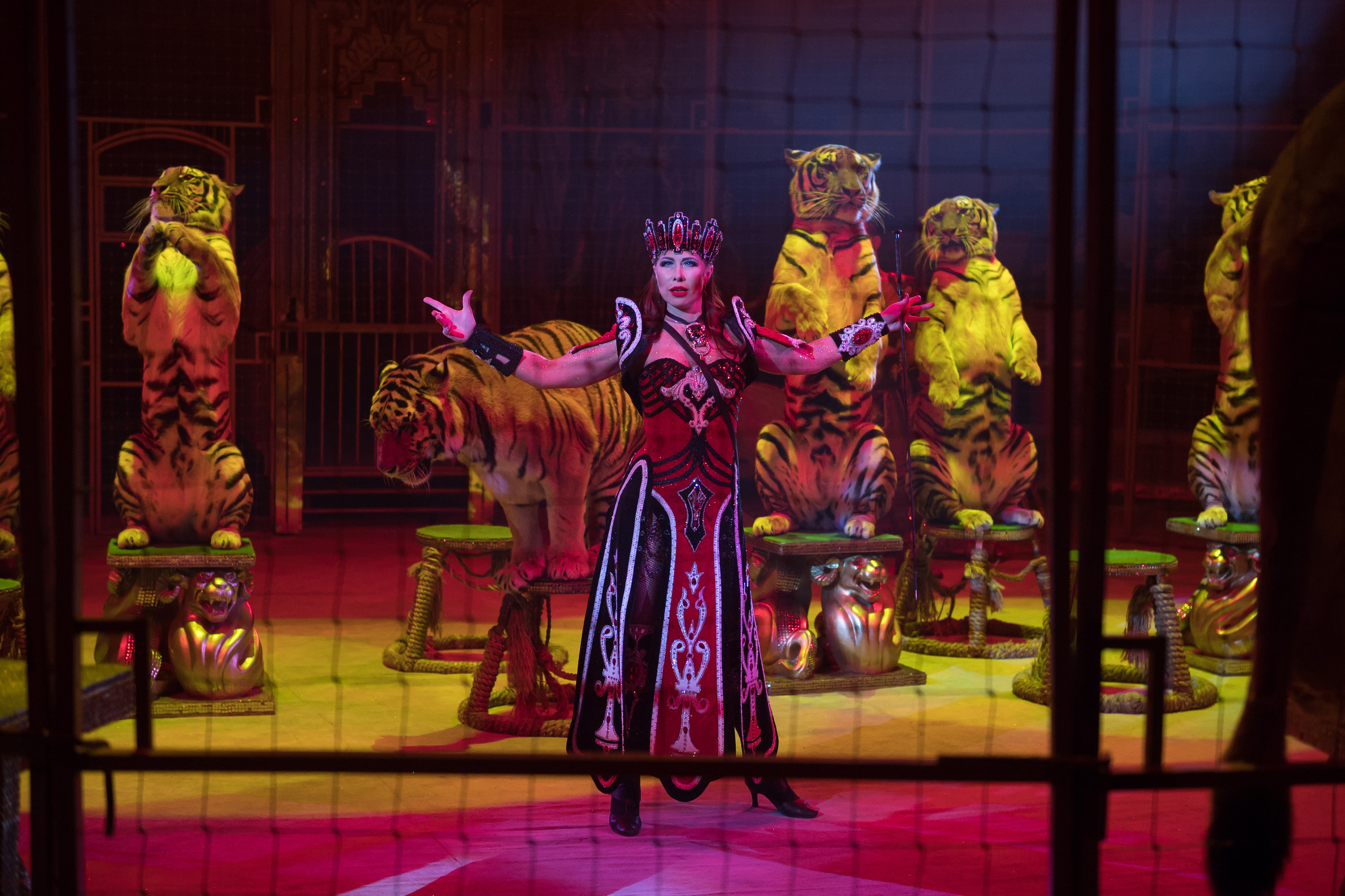 Фотосъёмка, репортаж премьеры Королевского Цирка Гии Эрадзе. Конный и фотограф с животными в Твери Топталова Люся