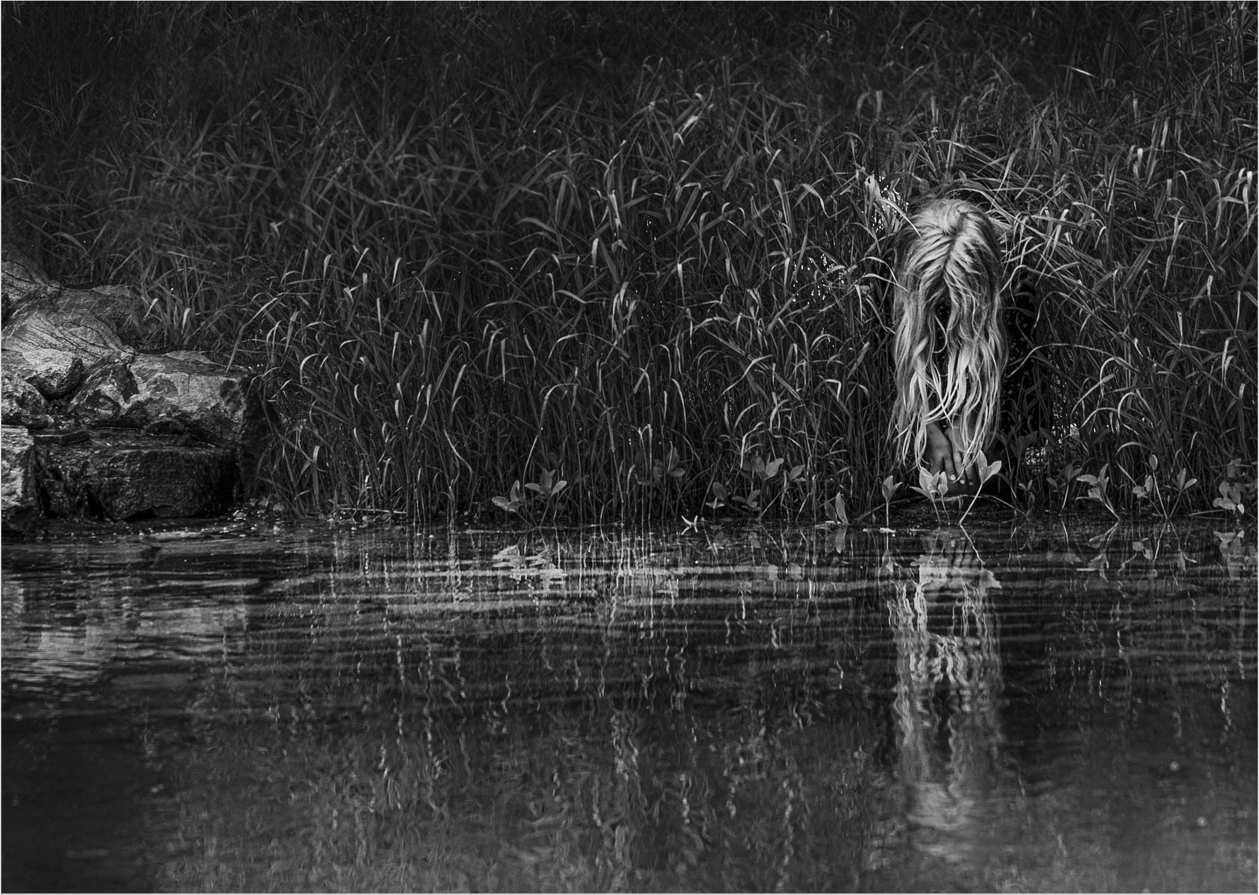 Live is still a garden, don’t say otherwise (2023-2026). Вероника Трубникова — фотохудожница / Veronika Trubnikova — photoartist