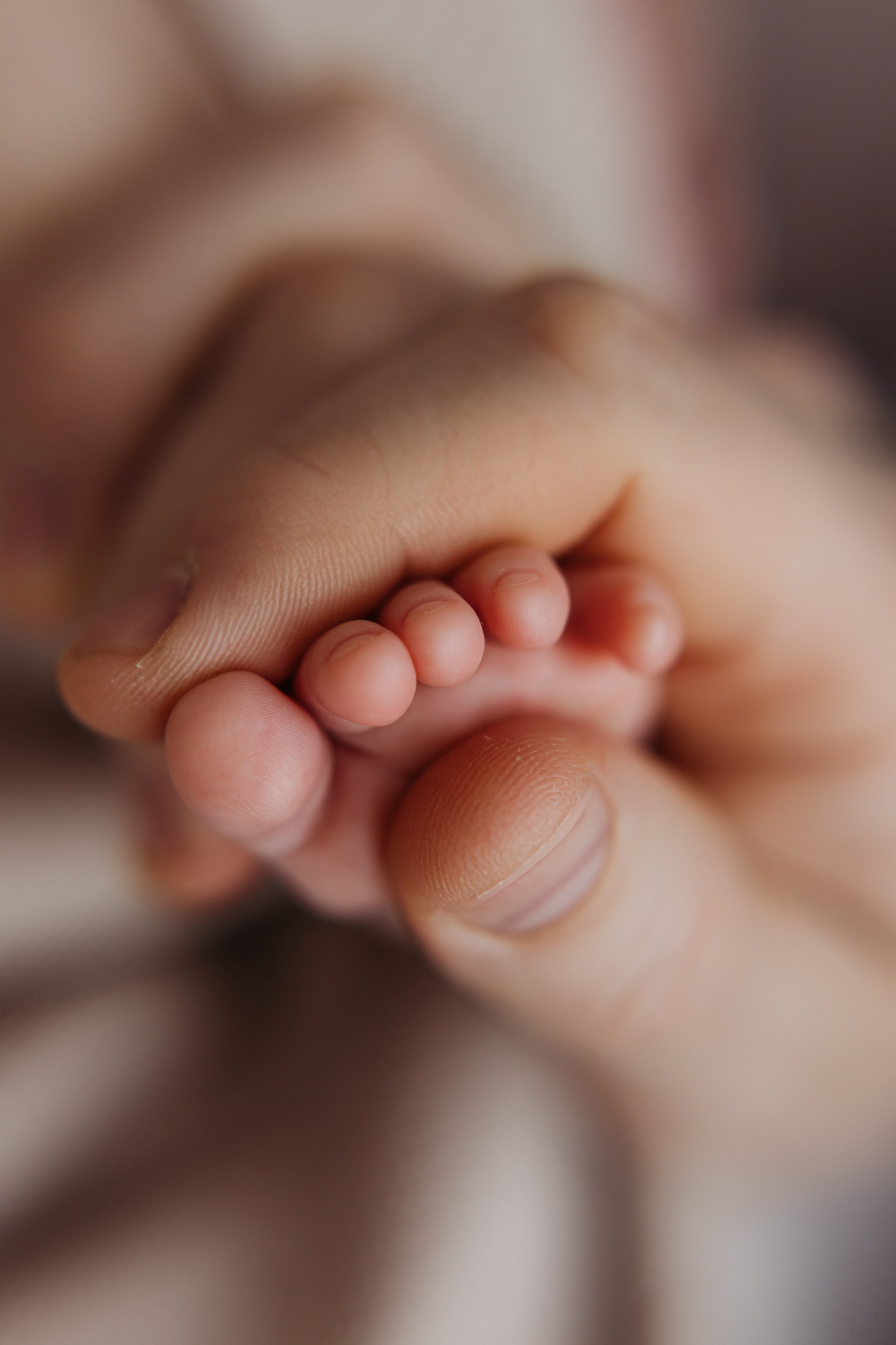 Домашняя лайфстайл фотосессия. Фотограф новорожденных в г. Барнаул Ренпенинг Катерина