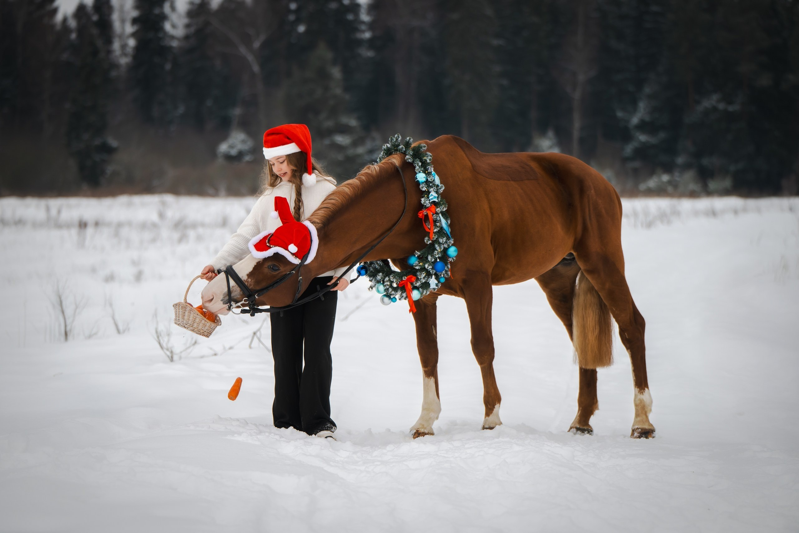 Фотограф Анималист в Москве Анастасия Жучкова