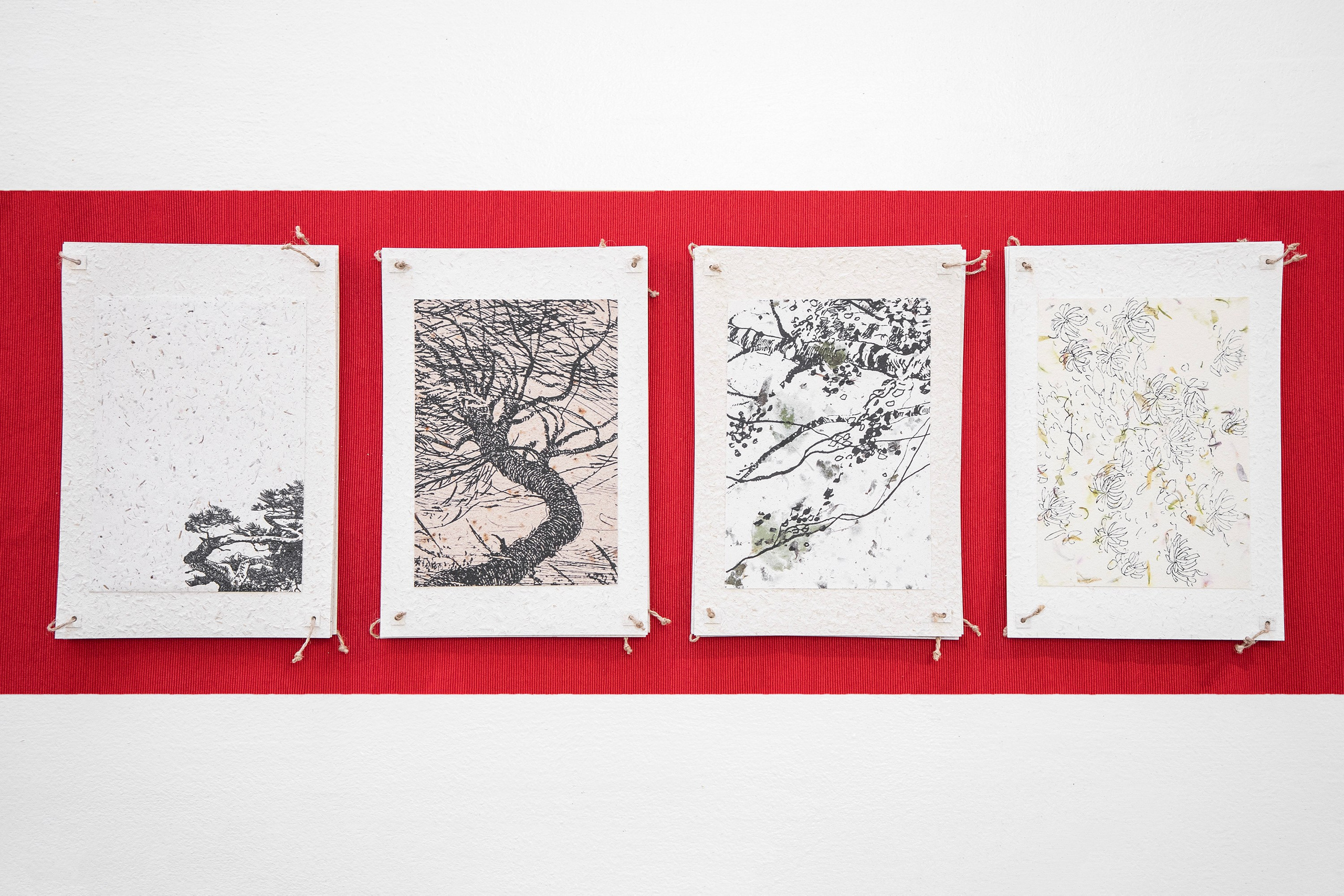 A Collection of Exercises (2023)