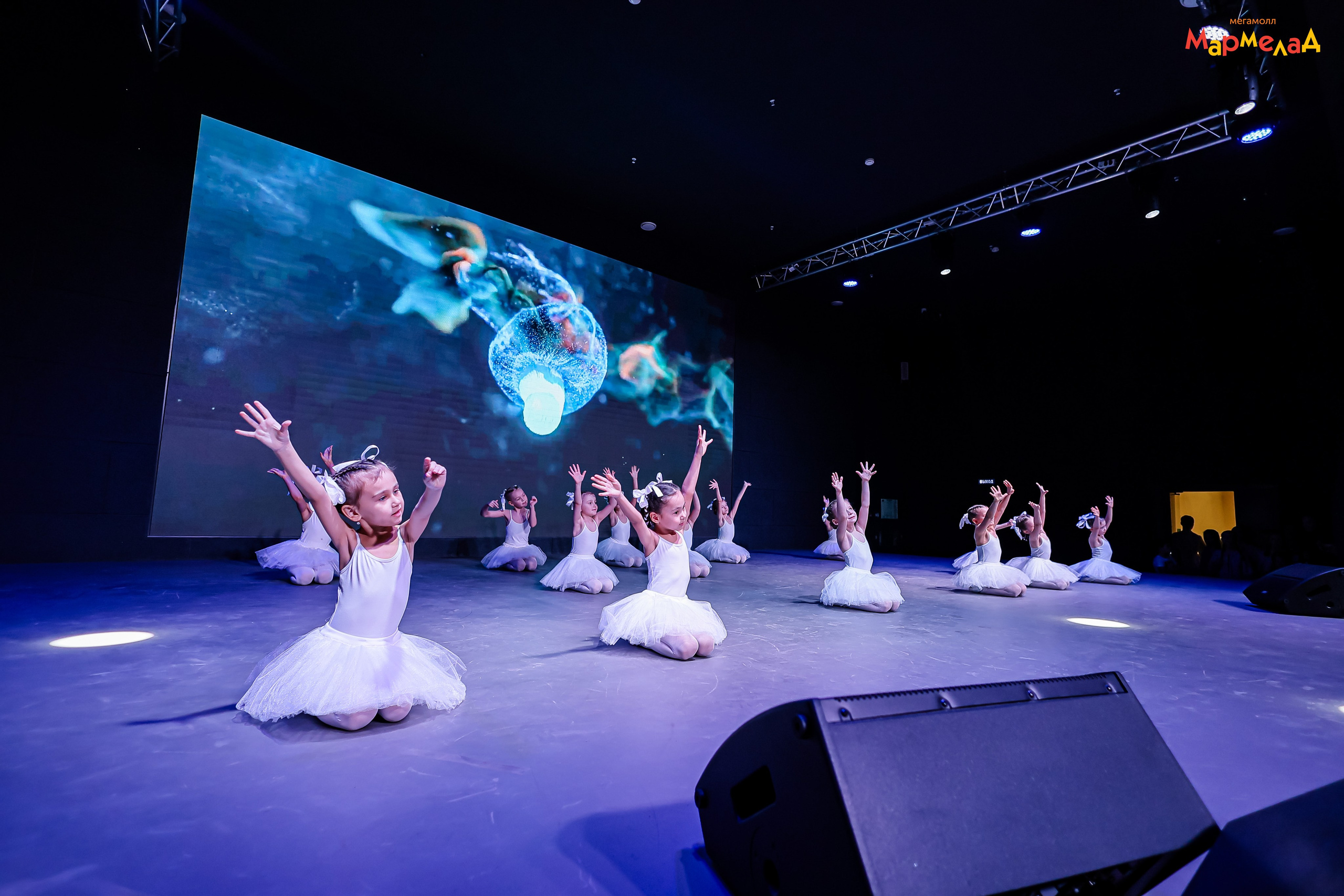 14.02 Любовь без границ в Мегамолл Мармелад. Команда специалистов в мире фотографии и видео. Детский фотограф, семейный фотограф