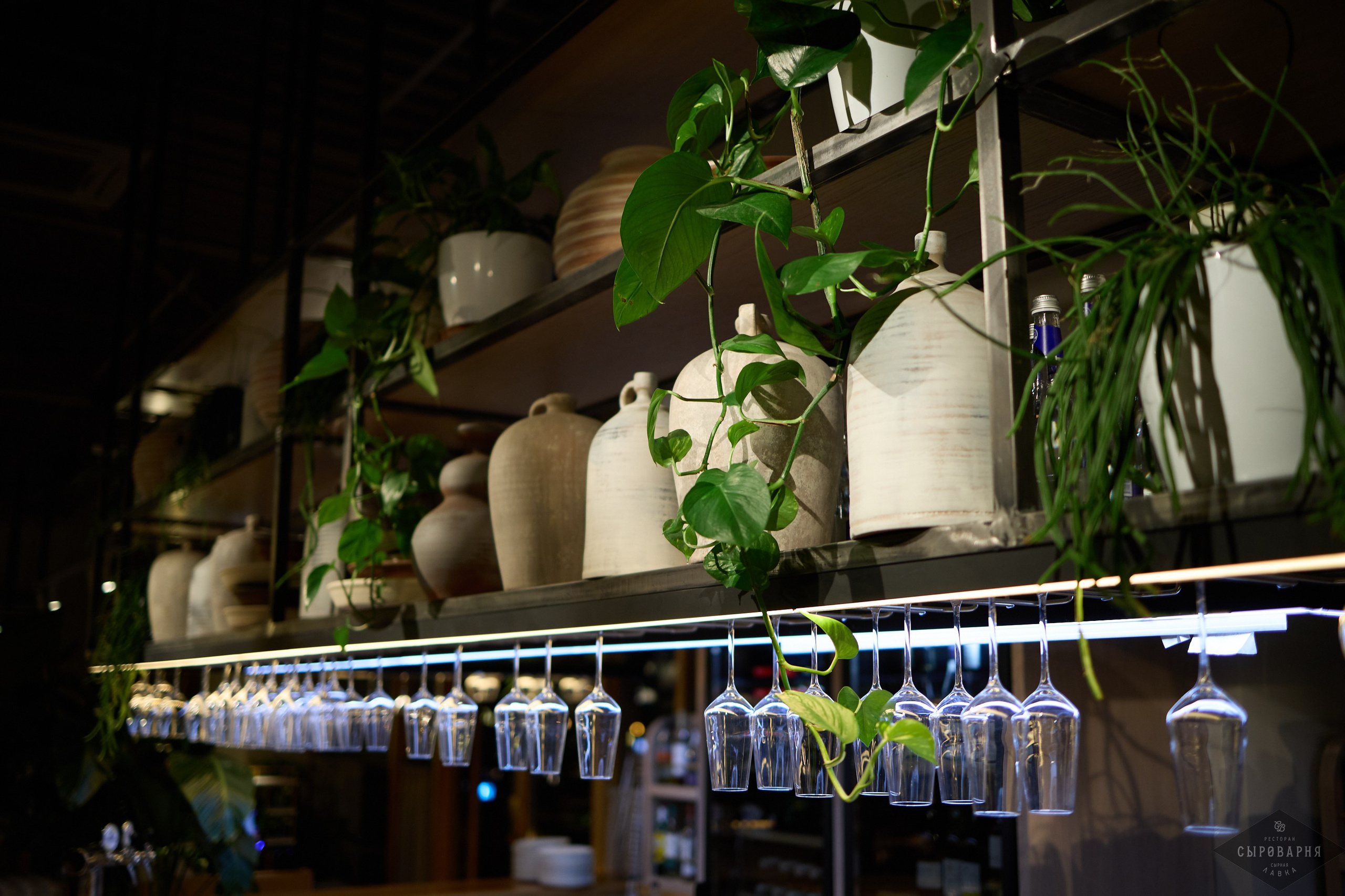 День рождения Алены в Сыроварне. Фотографъ Сергѣевъ. Поймать мгновеніе