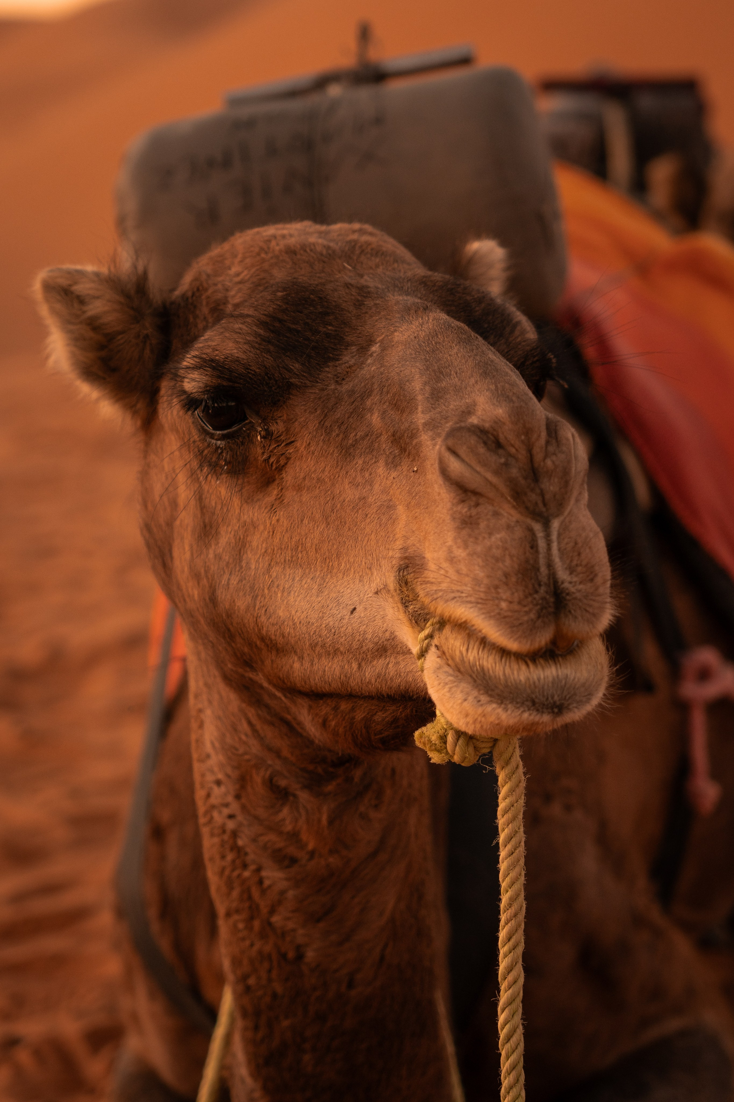 Марокко. Илья Варин — Фотограф Москва, Тверь