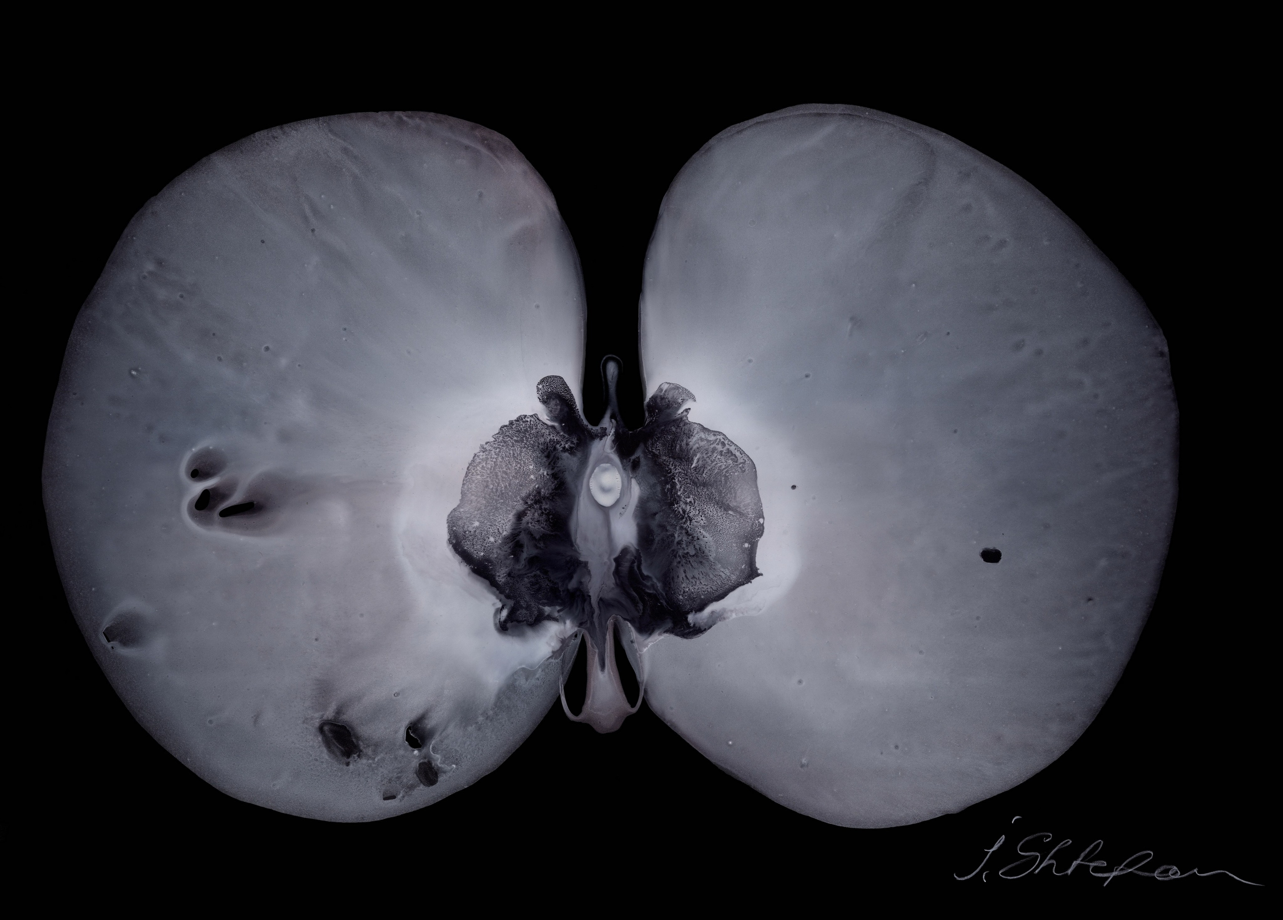 Картина художника Flors, Барселона, Европа, 2023–2025, размер 105×75 см, акрил пластик Painting by artist Flors, Barcelona, Europe, 2023–2025, size 105×75 cm, acrylic plastic Pintura del artista Flors, Barcelona, Europa, 2023–2025, tamaño 105×75 cm, acrílico plástico картина в интерьер, дизайн картина цветы орхидея интерьерная картина, pintura en el interior, pintura de diseño flores orquídeas pintura interior, painting in the interior, design painting flowers orchid interior painting