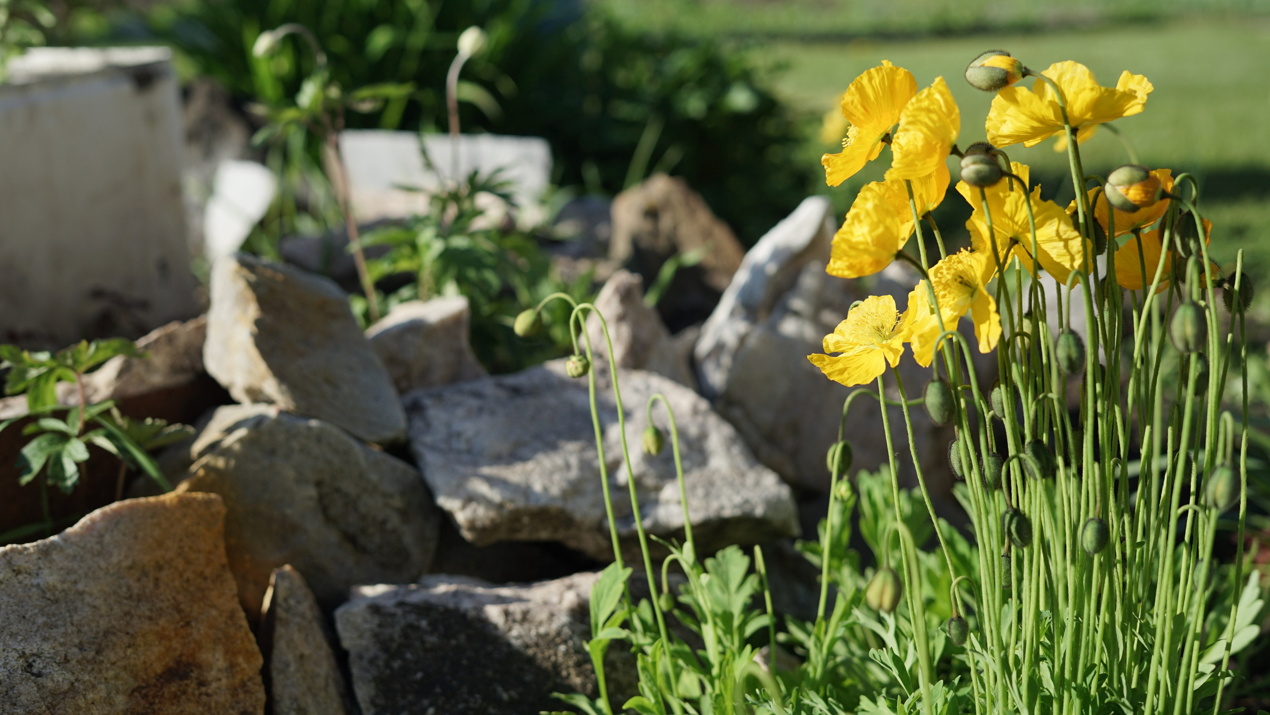 Вся красота мира в одной картинке