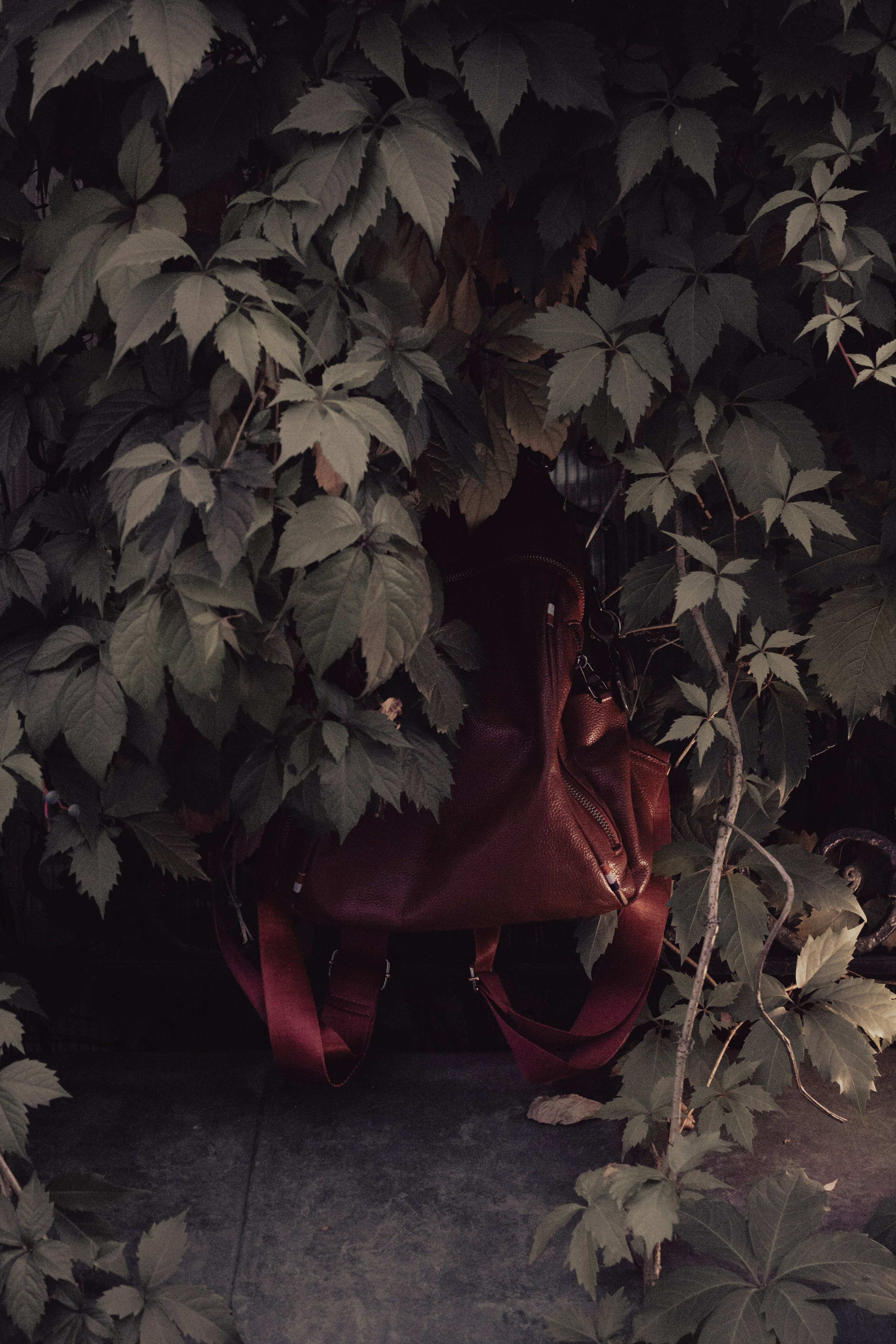 Прогулка за фото. Фотограф Москва, портрет, стрит, репортаж. Художественная фотосессия