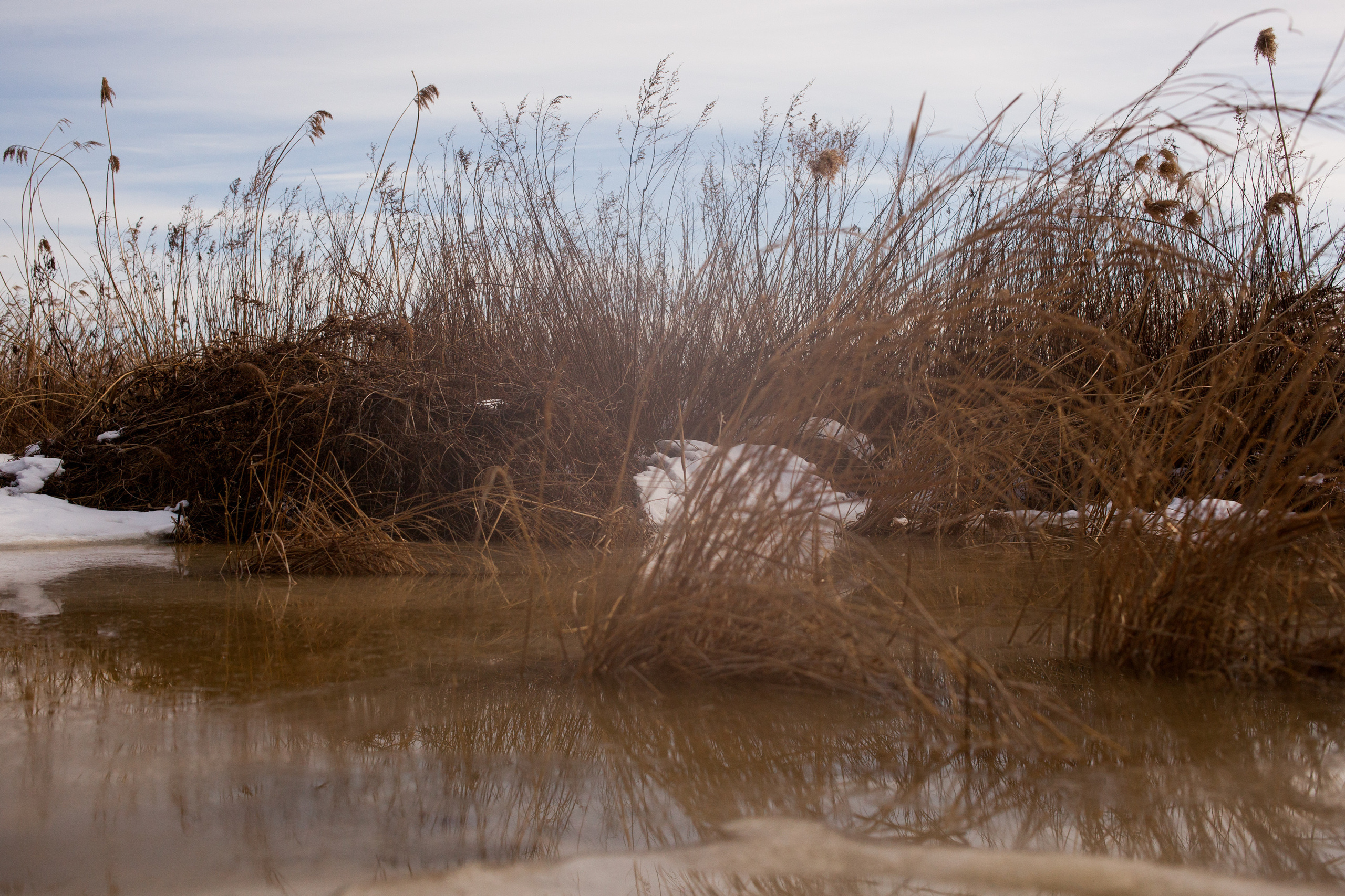 Осушение. Evgeniya Kokurina