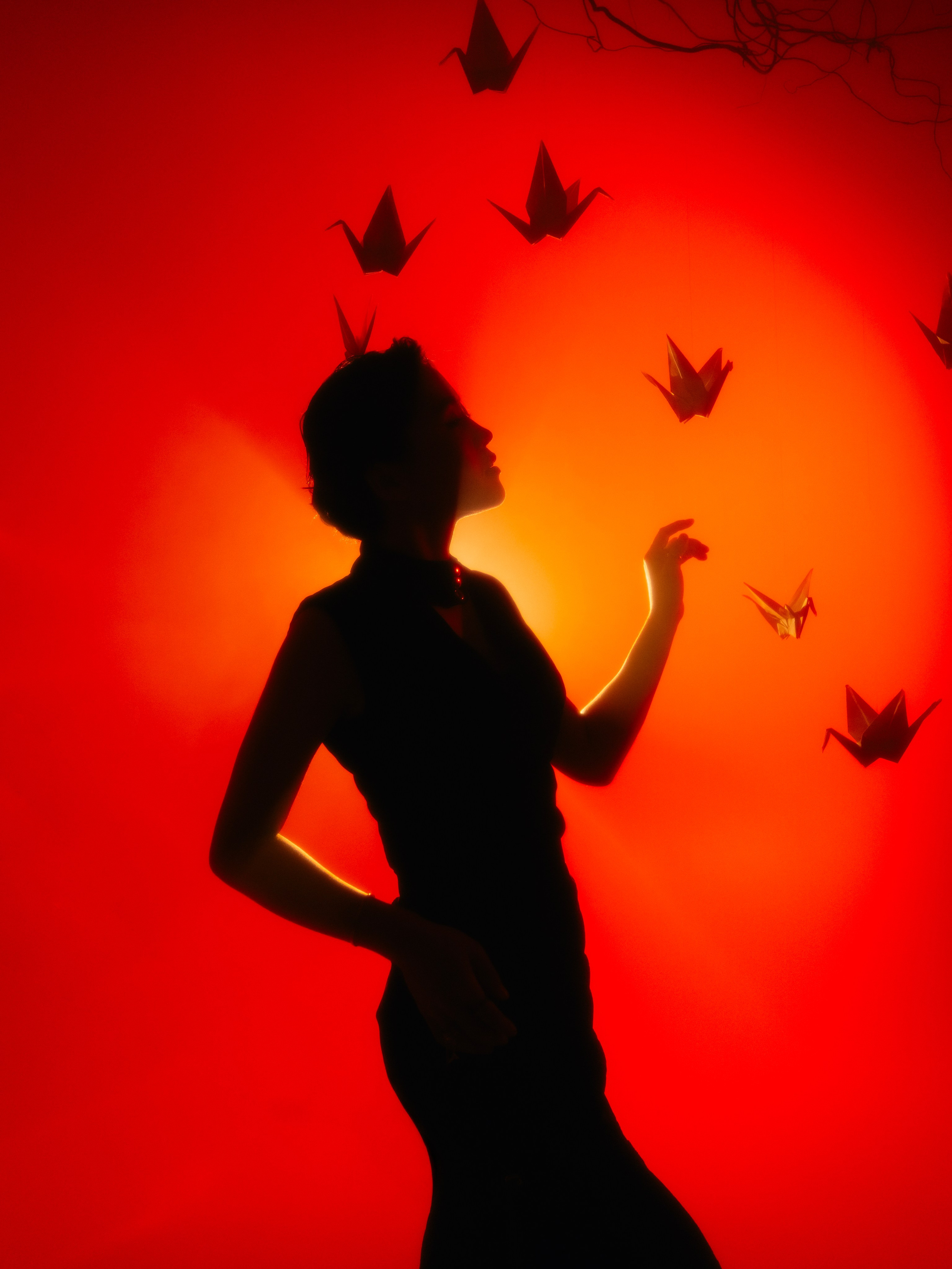 «Тени Киото»