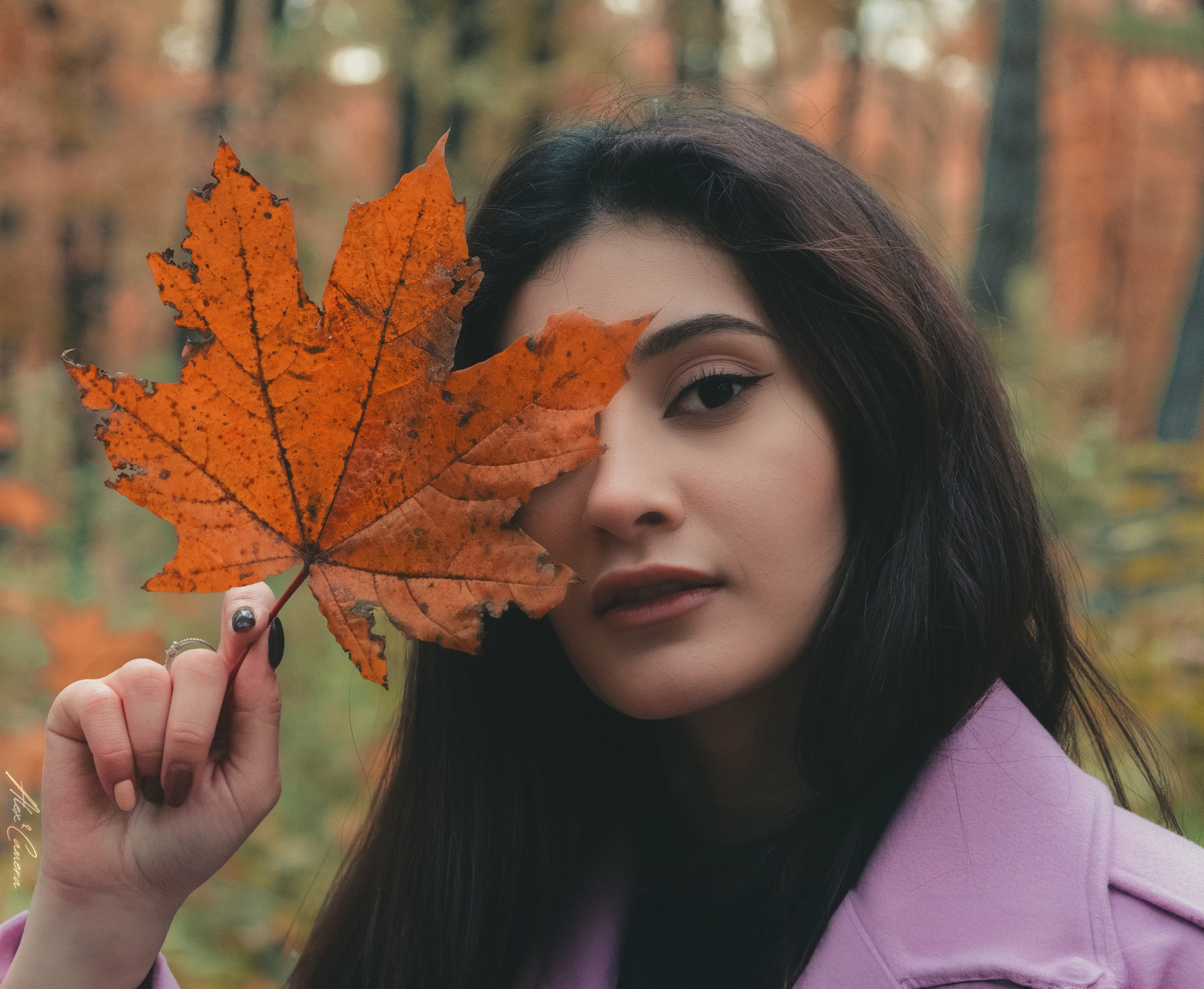 Осень в разгаре!. Alex&Camera Photography