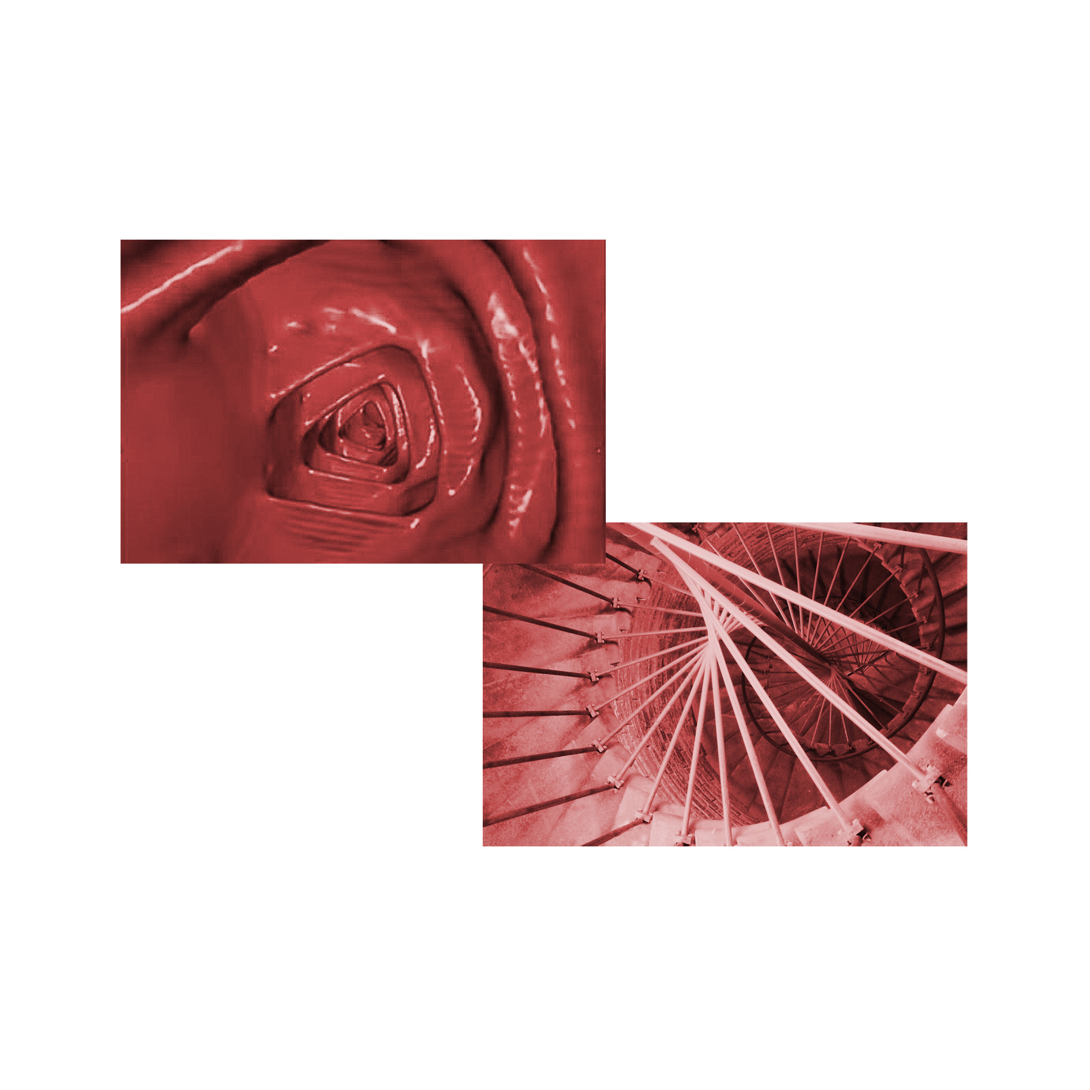 The Red Queen Principle *. Home