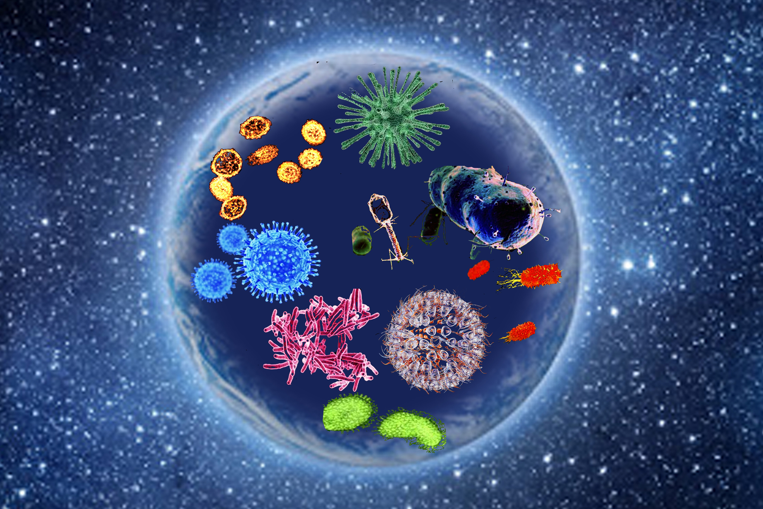 The Red Queen Principle *. Home