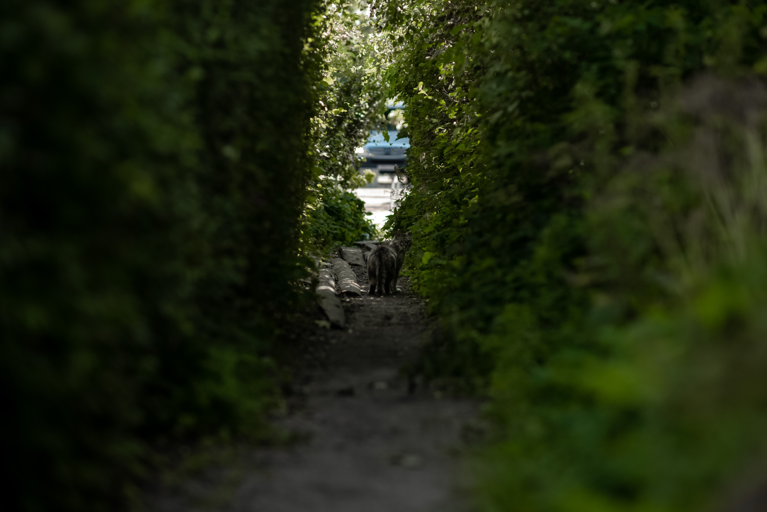 Архитектура Калининградской области. Женский фотограф Крещение Венчание Москва Брянск