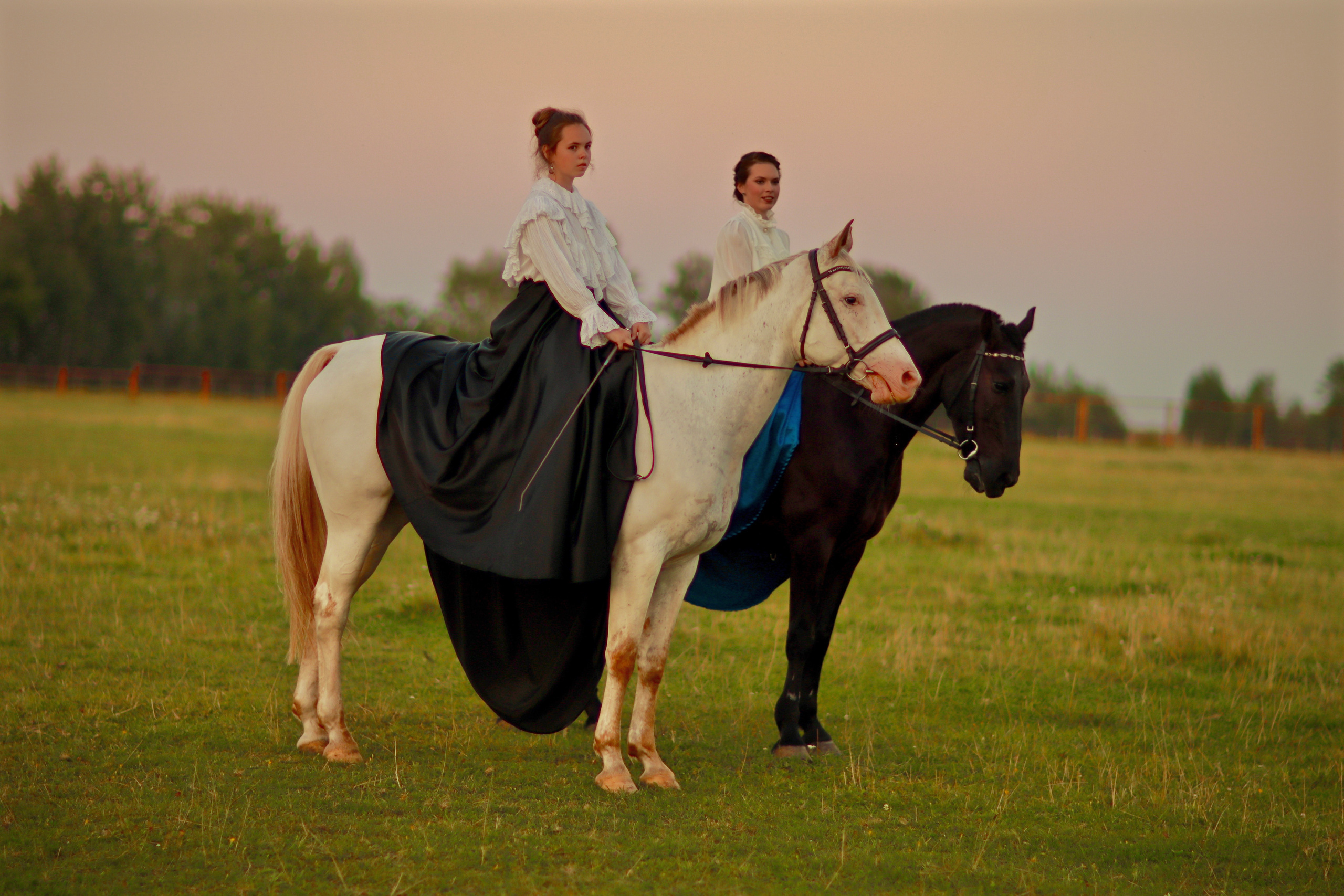 Кони в яблоках))). Свадебный и семейный фотограф-Королева Натали/Раменское-Жуковский-Москва/тел.+7 (985) 153-75-43