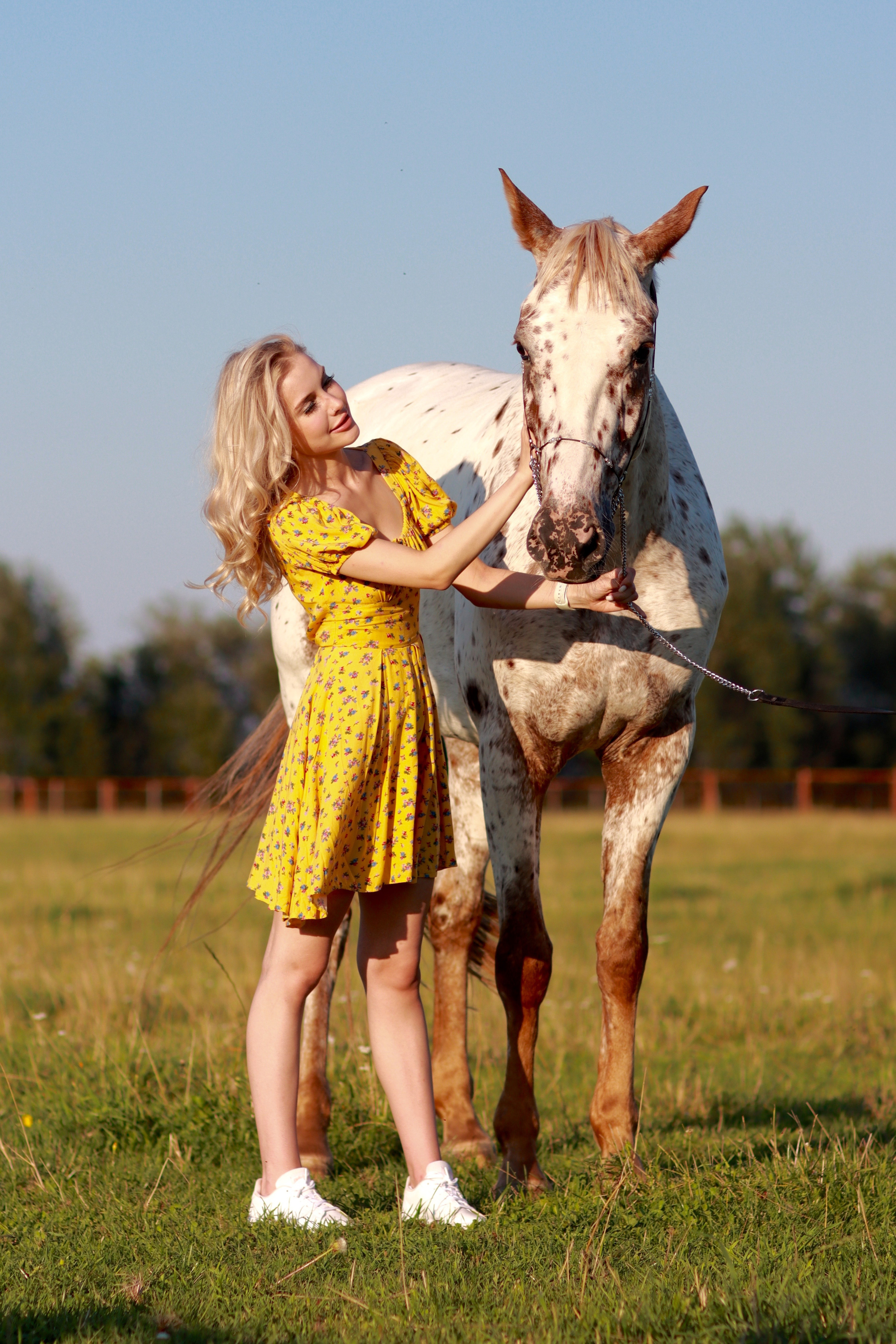 Кони в яблоках))). Свадебный и семейный фотограф-Королева Натали/Раменское-Жуковский-Москва/тел.+7 (985) 153-75-43