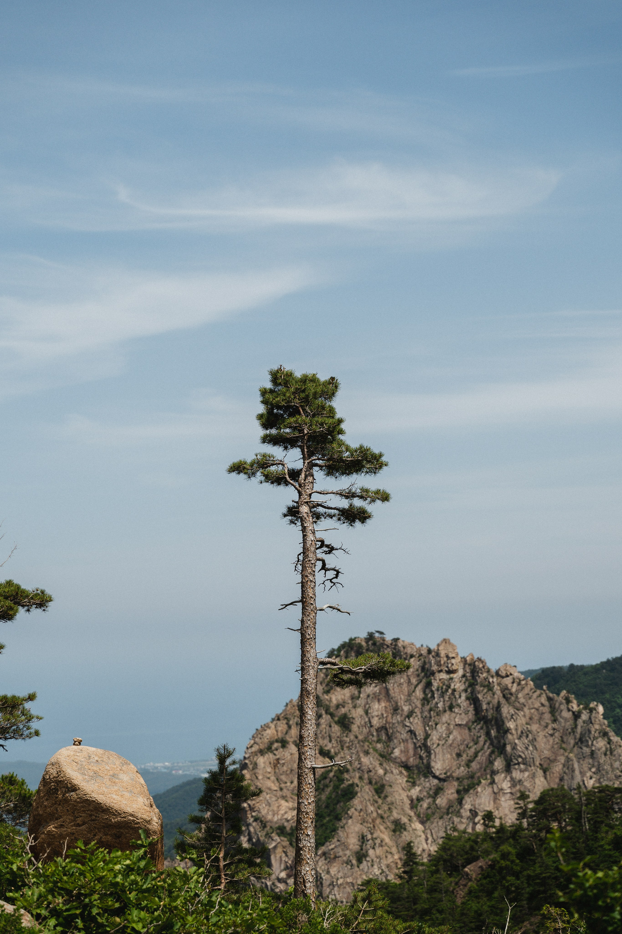 Южная Корея