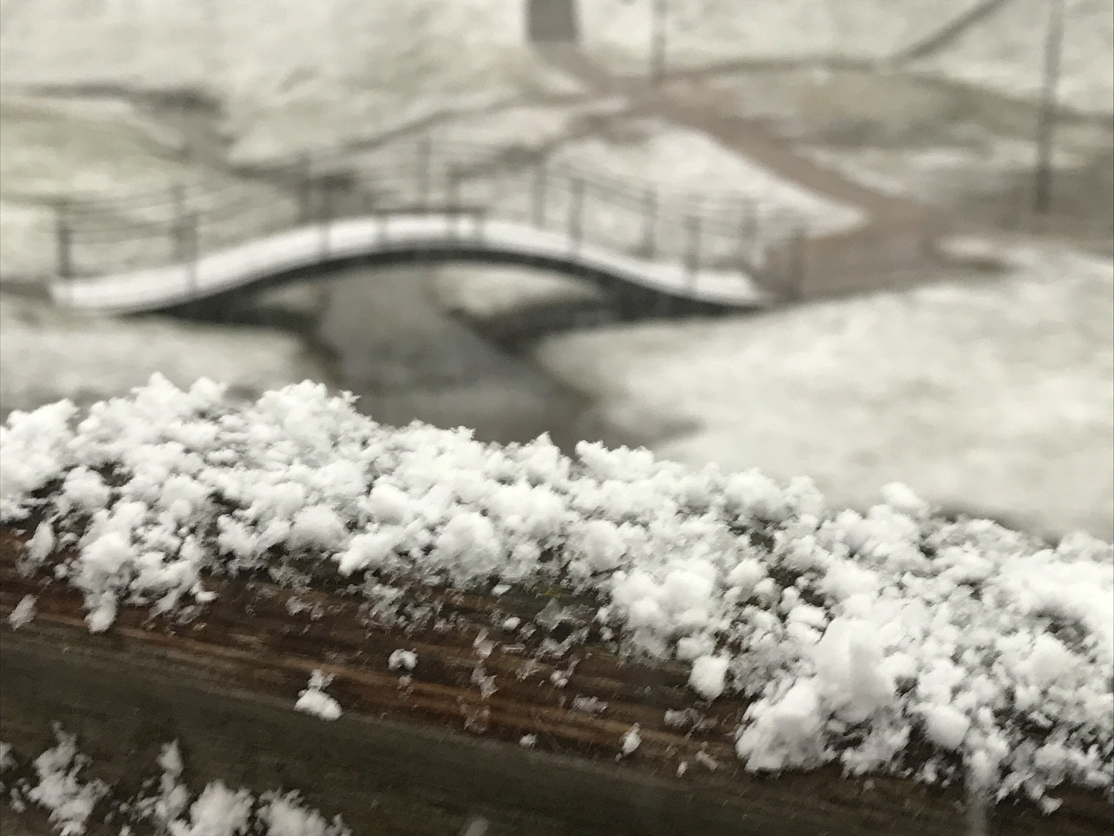 Жизнь найдет дорогу. Аmat Victoria Сuram