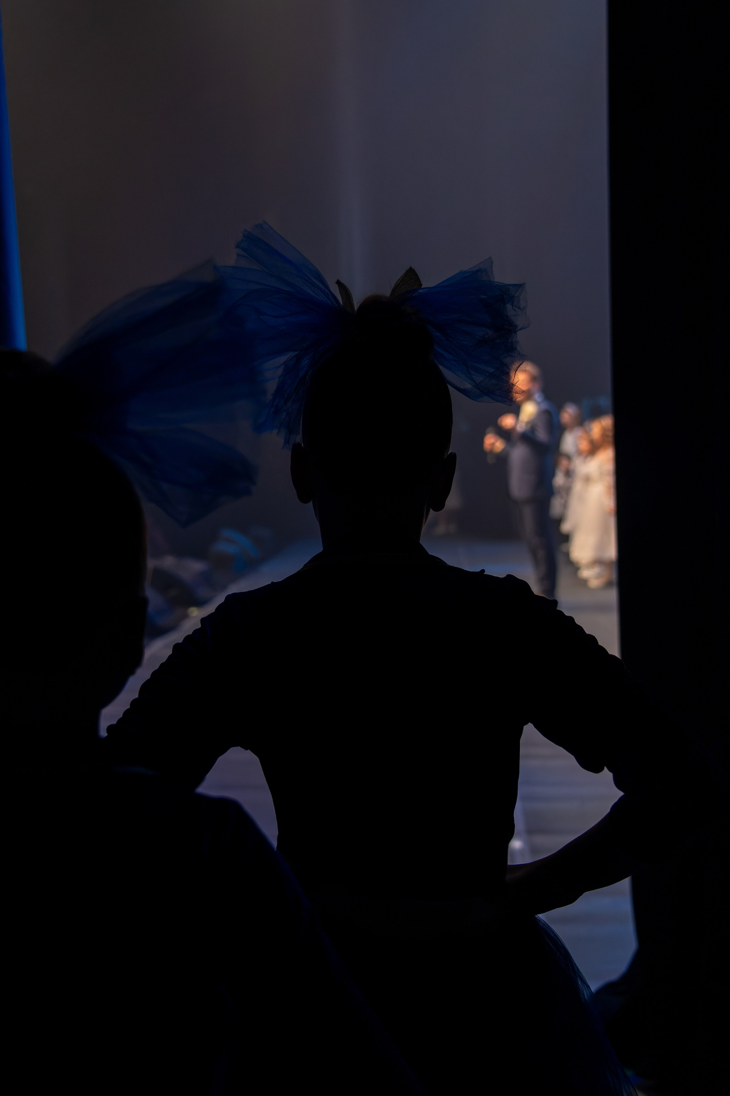 Фотосъёмка на гала-концерт, конкурсы, выступления, отчётные концерты и эвент-мероприятия. «Студия DRONAVT`s» — видеосъёмка и фотография г. Москва