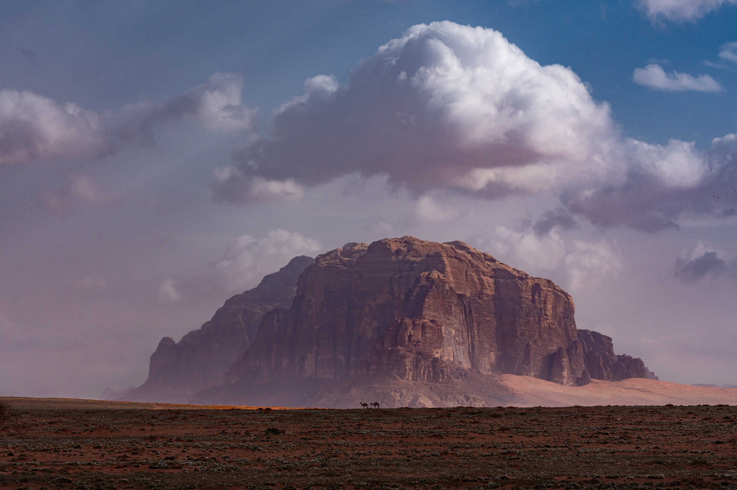 Photographer Yulia Lushnikova, Based in Valencia