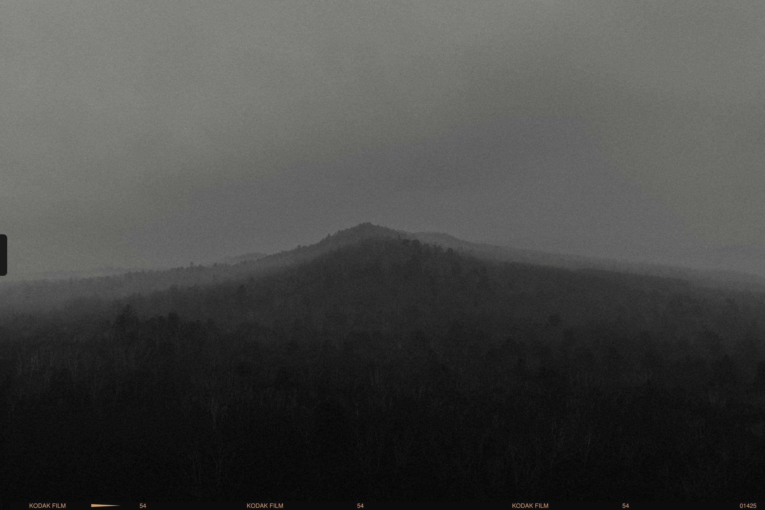 фотография черно белая природа