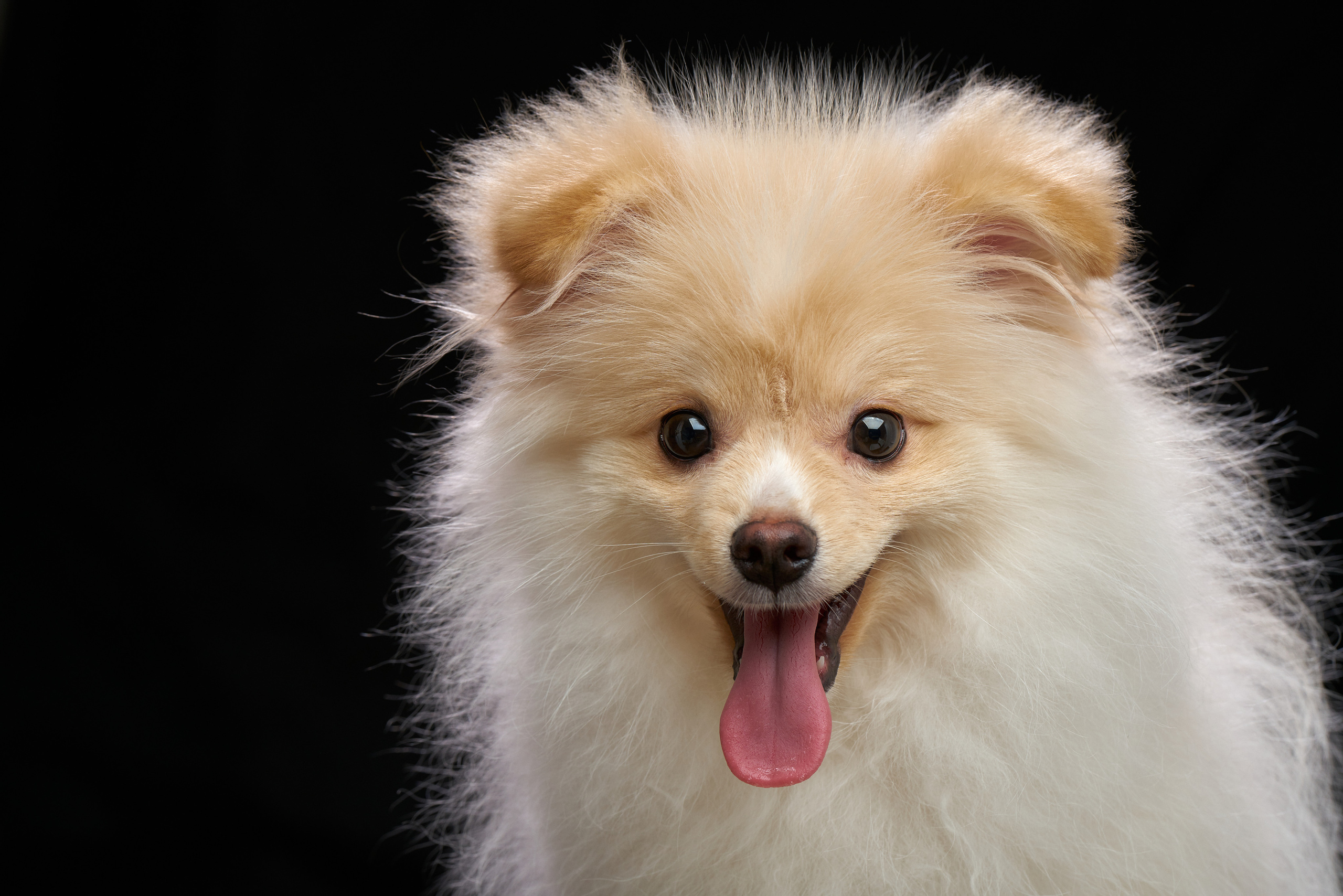 Обзор объектива Tamron 70-180 f2.8 Di III VXD. Фотограф Дмитрий Цветков | Санкт-Петербург