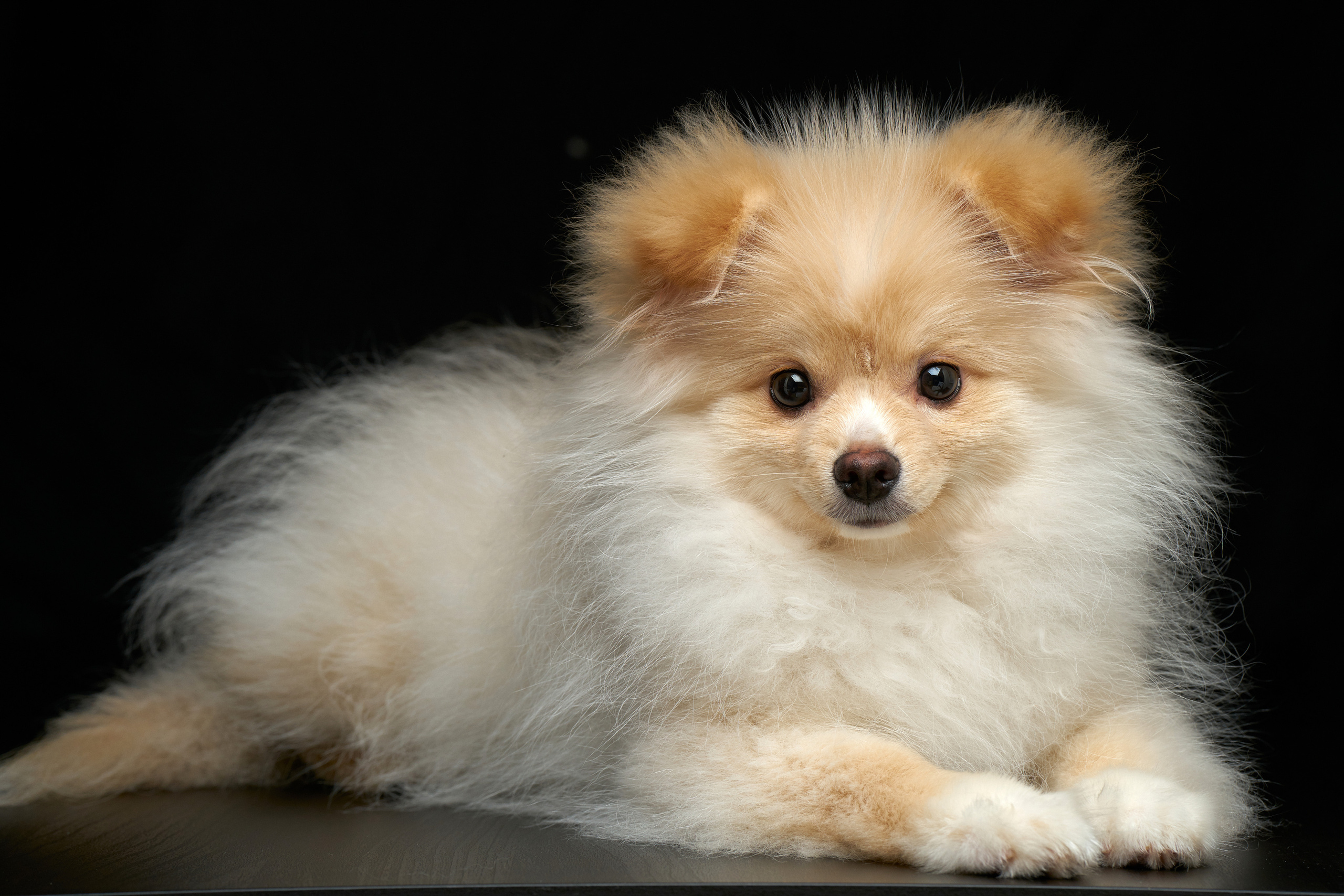 Обзор объектива Tamron 70-180 f2.8 Di III VXD. Фотограф Дмитрий Цветков | Санкт-Петербург