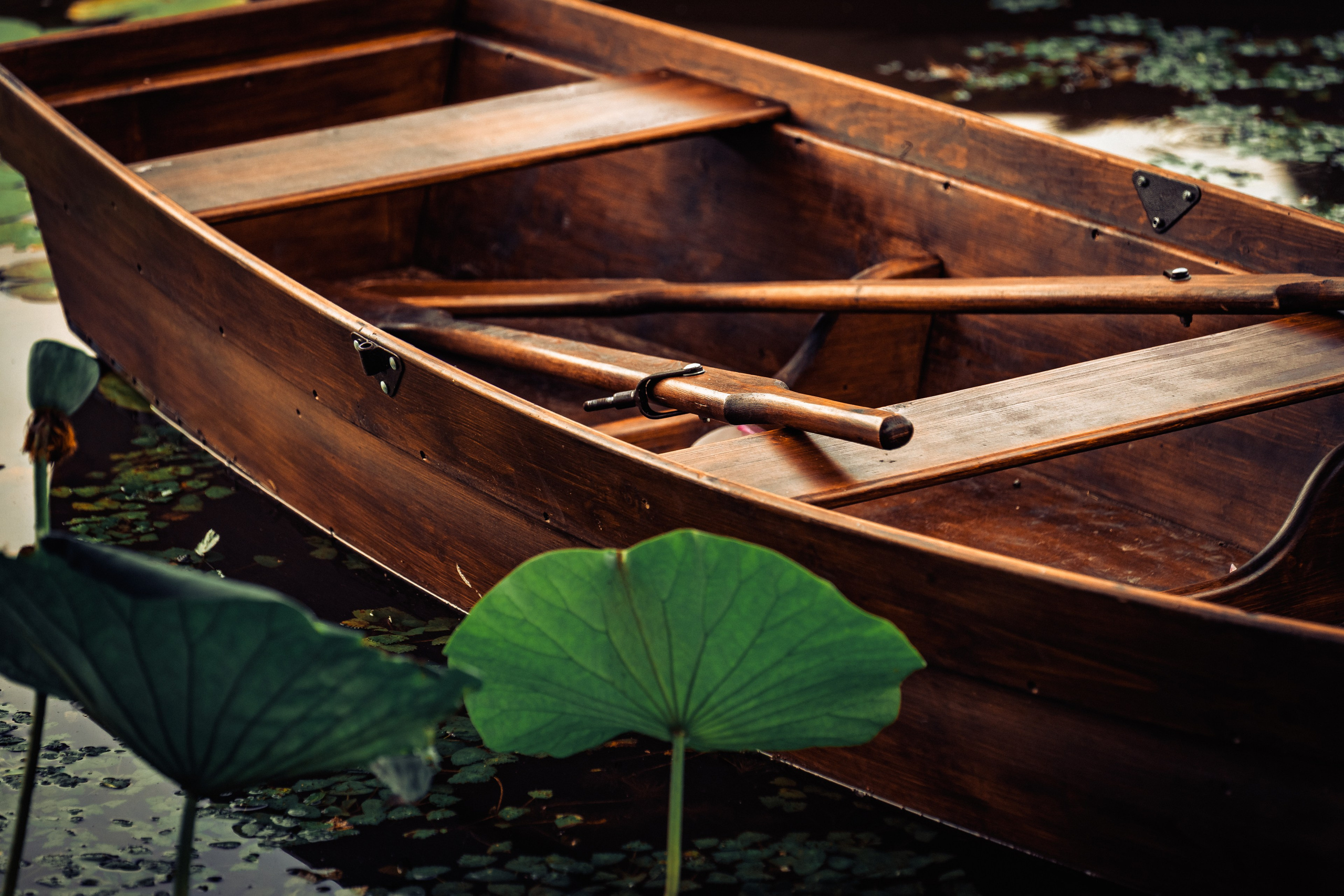 Пруд «Семейный» | с. Петровка. Иван Зайцев (IZIART) — создание культурного кода через фото и видео