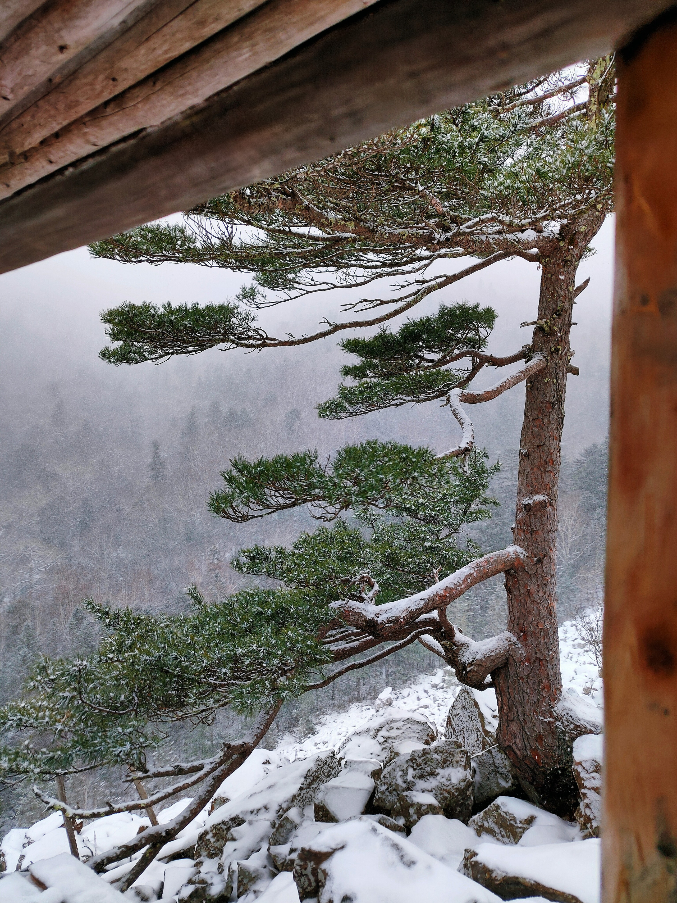 Вид из беседки ушуистов зимой