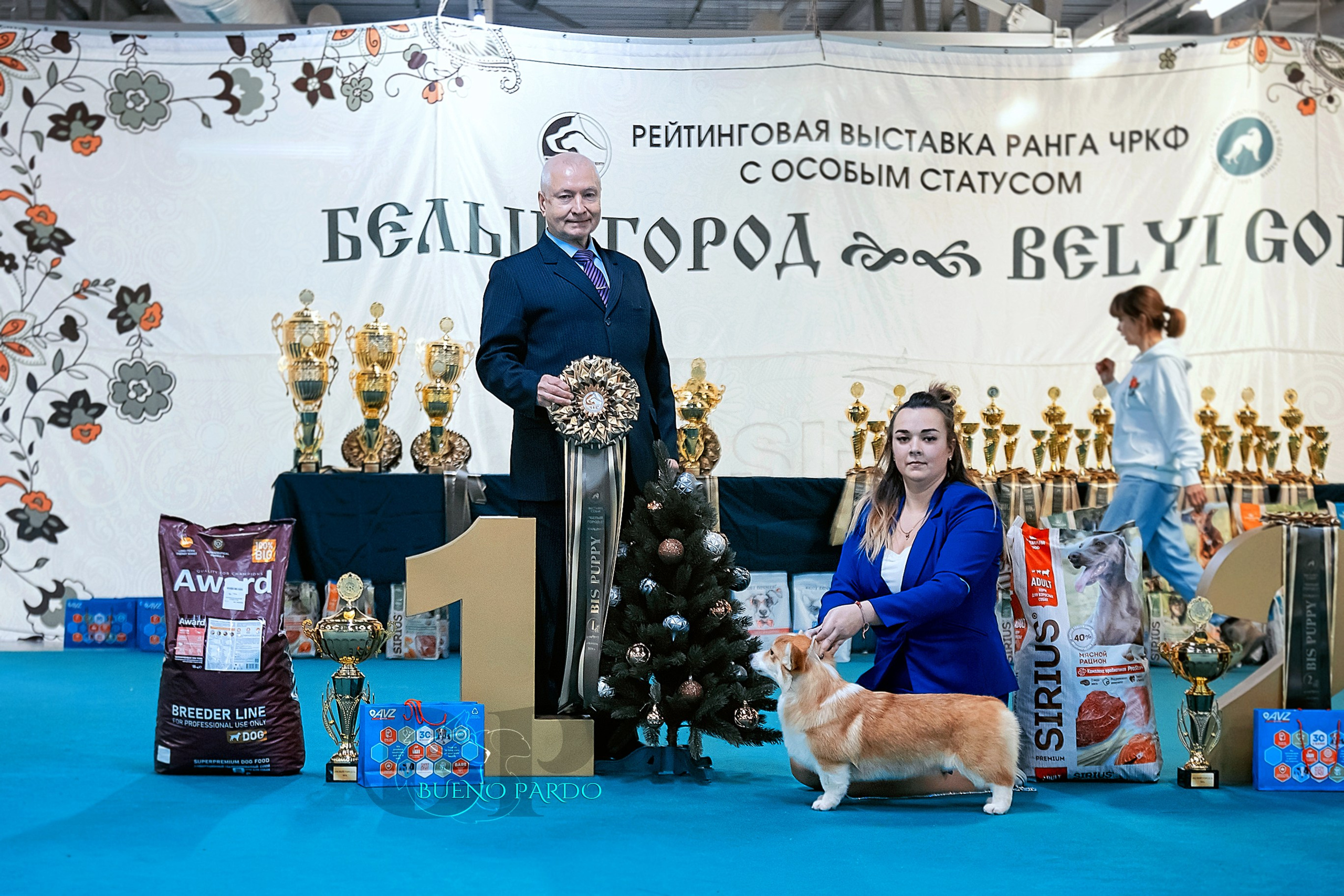 Собаки питомника Bueno Pardo. Питомник собак Акита, Хаски, Корги