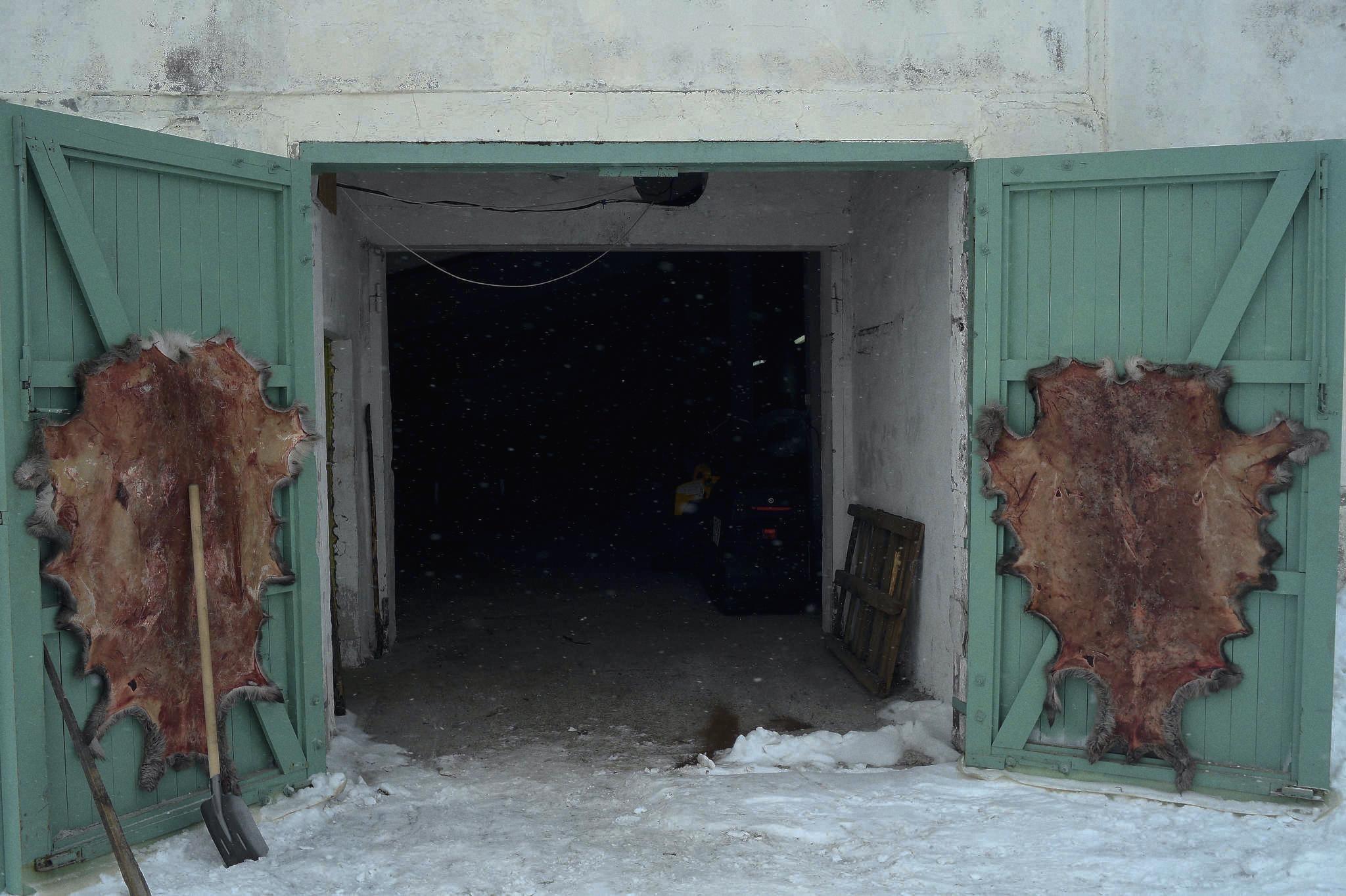 Фототур к северным оленям и саамам. 5–9 марта