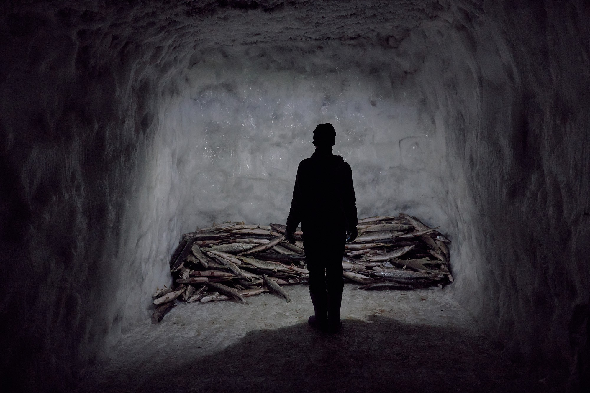 Интервью с победителем National Press Photographers Association 2026. Слава Лю-Фа. Репортажный фотограф в Сочи — Михаил Мордасов