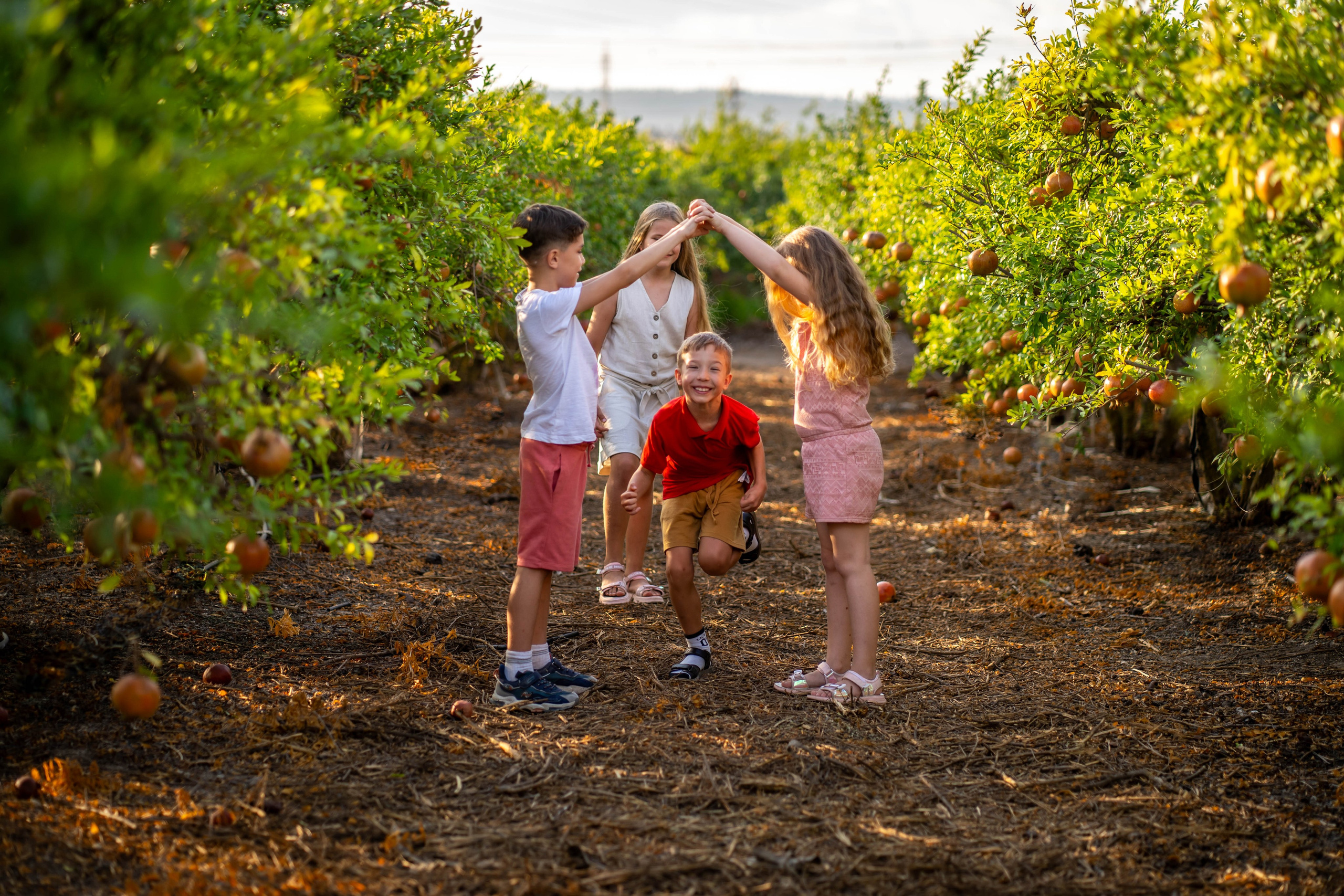 Гранатовый сад. Семейный и детский фотограф в Израиле и Москве Дорошок Надя