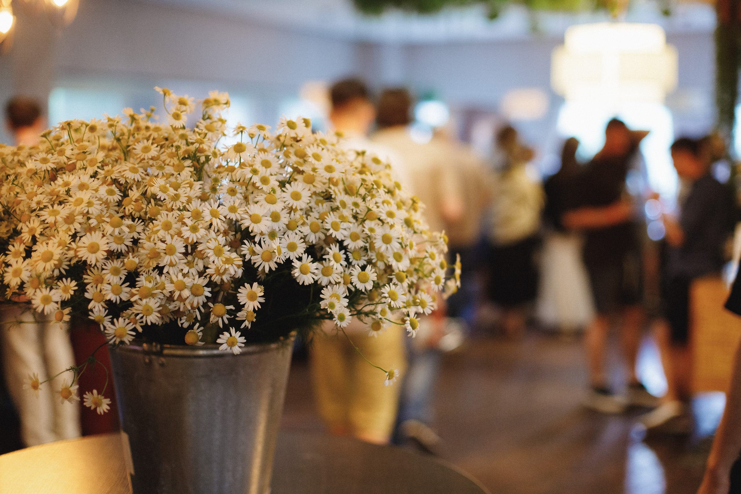 ФЕСТИВАЛЬ РОССИЙСКОГО ВИНА. СВОИ. ФОТООТЧЕТЫ-СОБЫТИЯ-МЕСТА