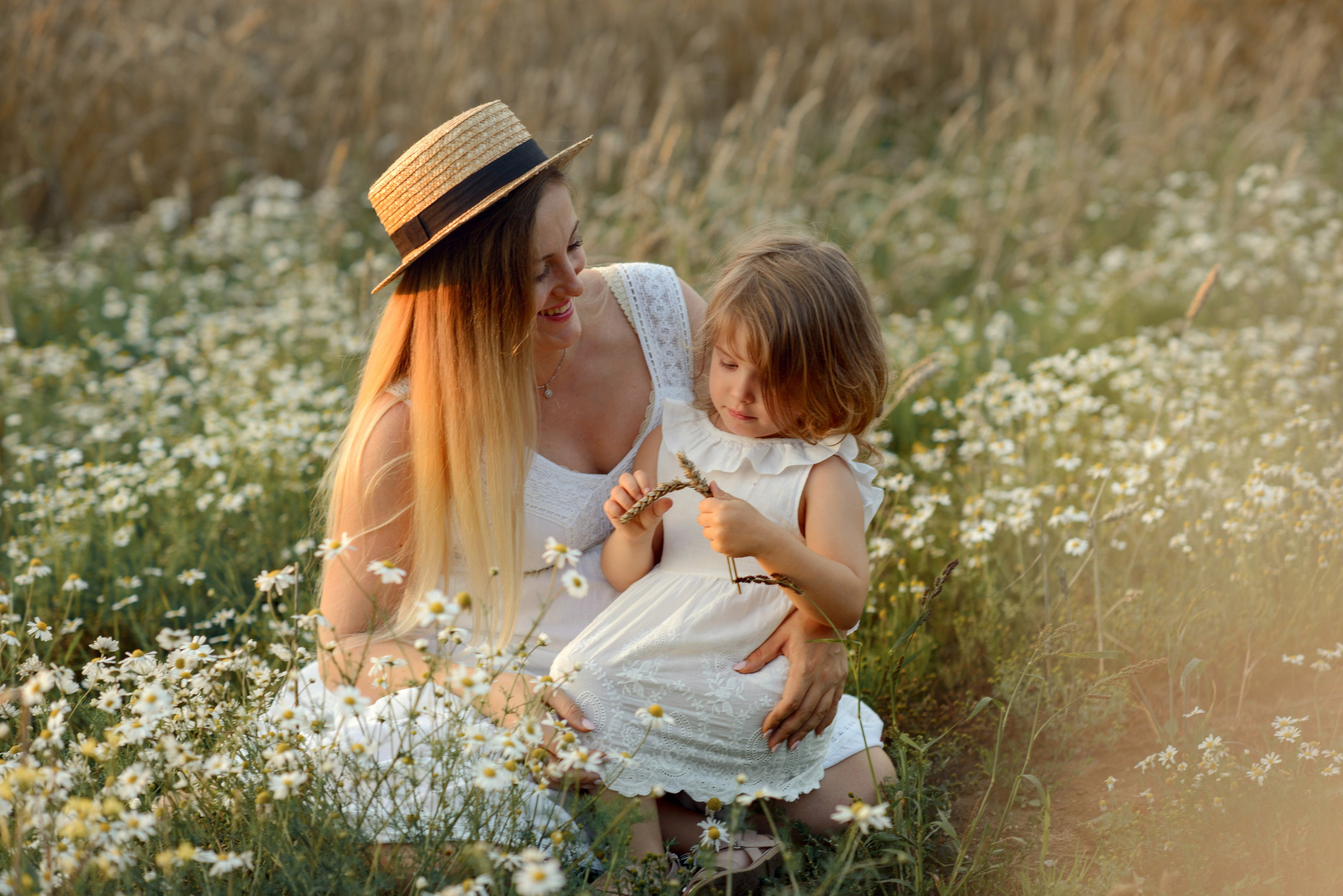 Mom and daughter, Photo shoot, Little girl and a pregnant woman in a wheat field at sunset