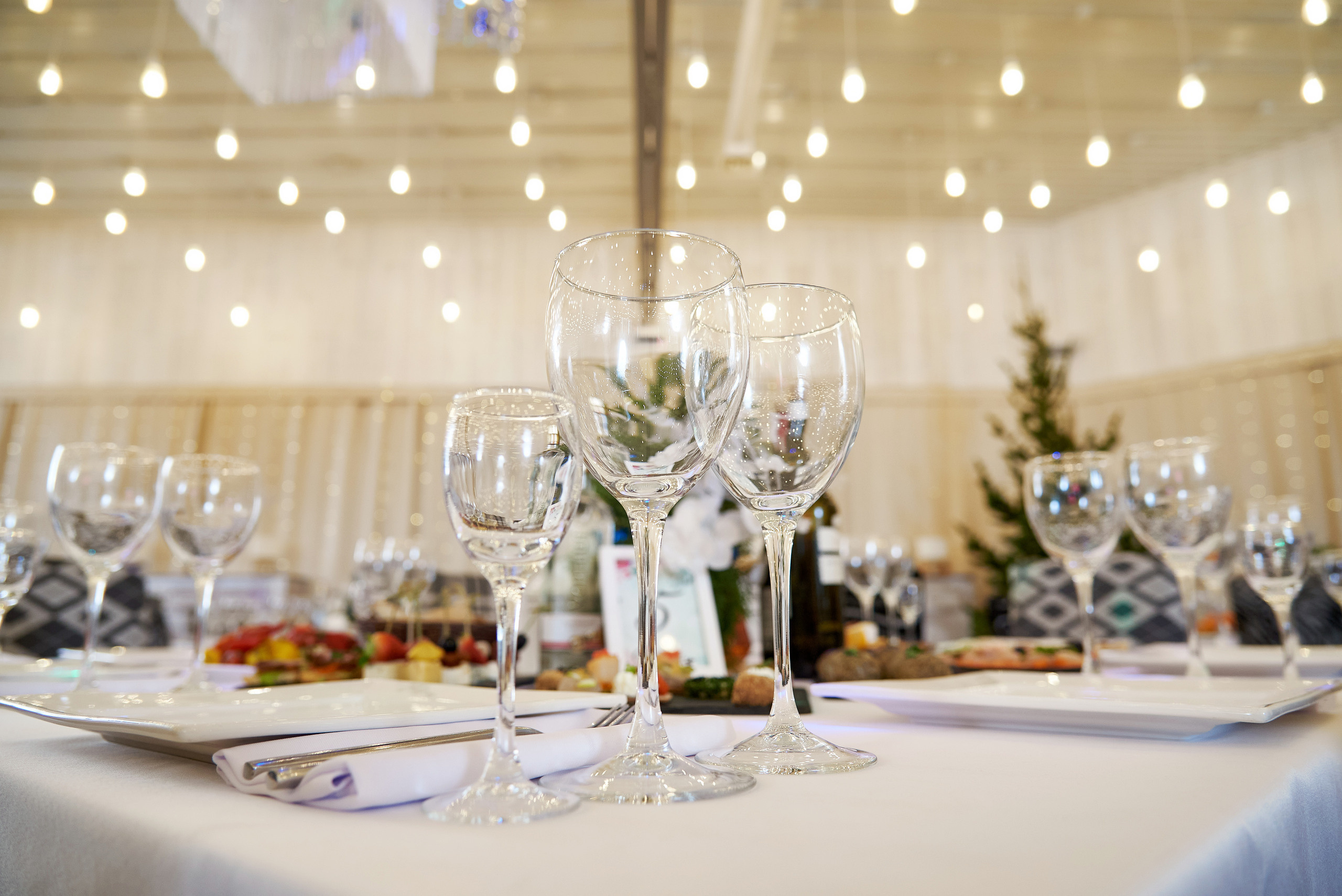 Новогодние корпоративы 2021. Фотограф Опыт Качество Скорость Горный Алтай Барнаул